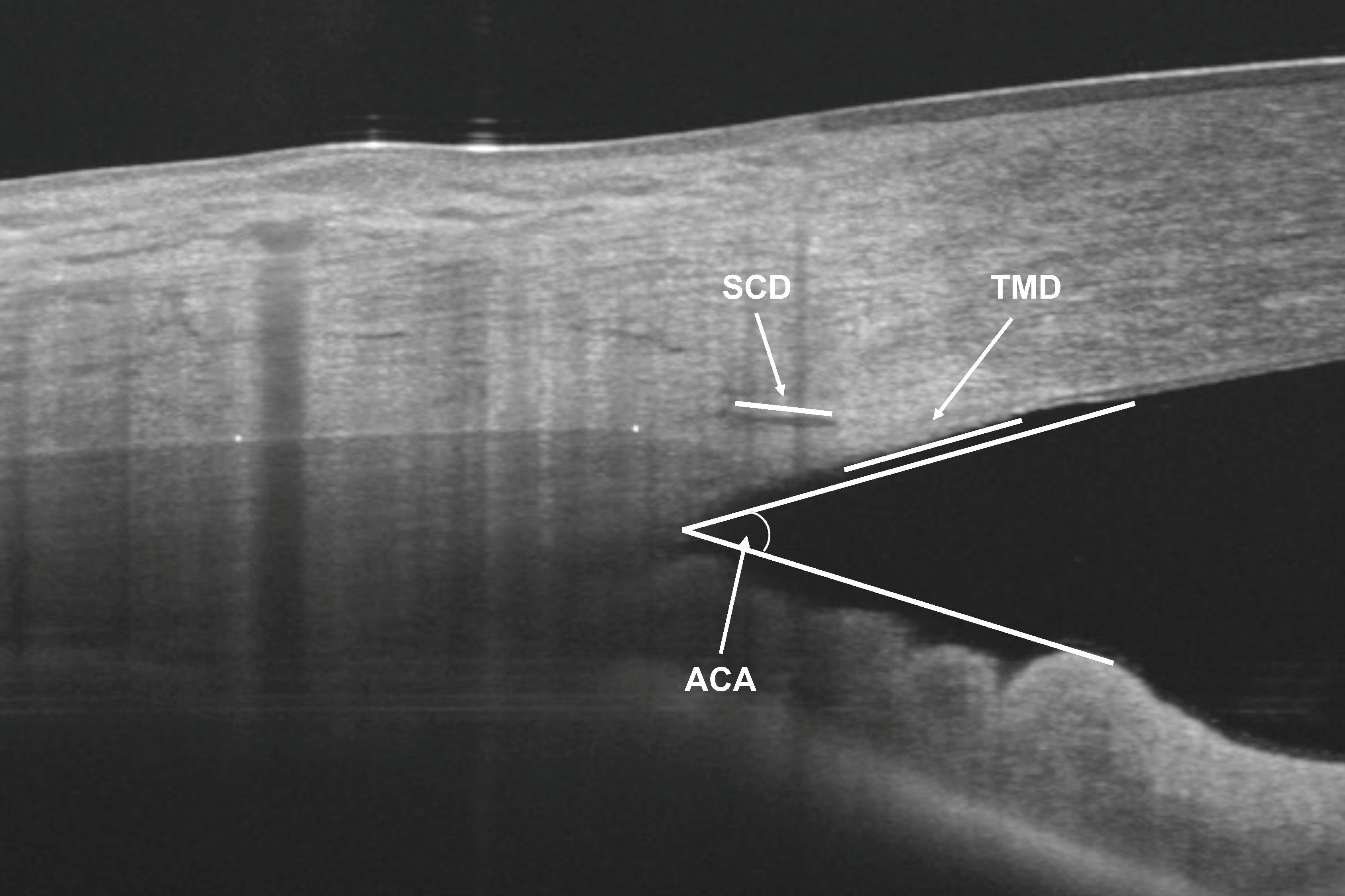 Diagnostics 14 00655 g002 Diagnostics 14 00655 g002