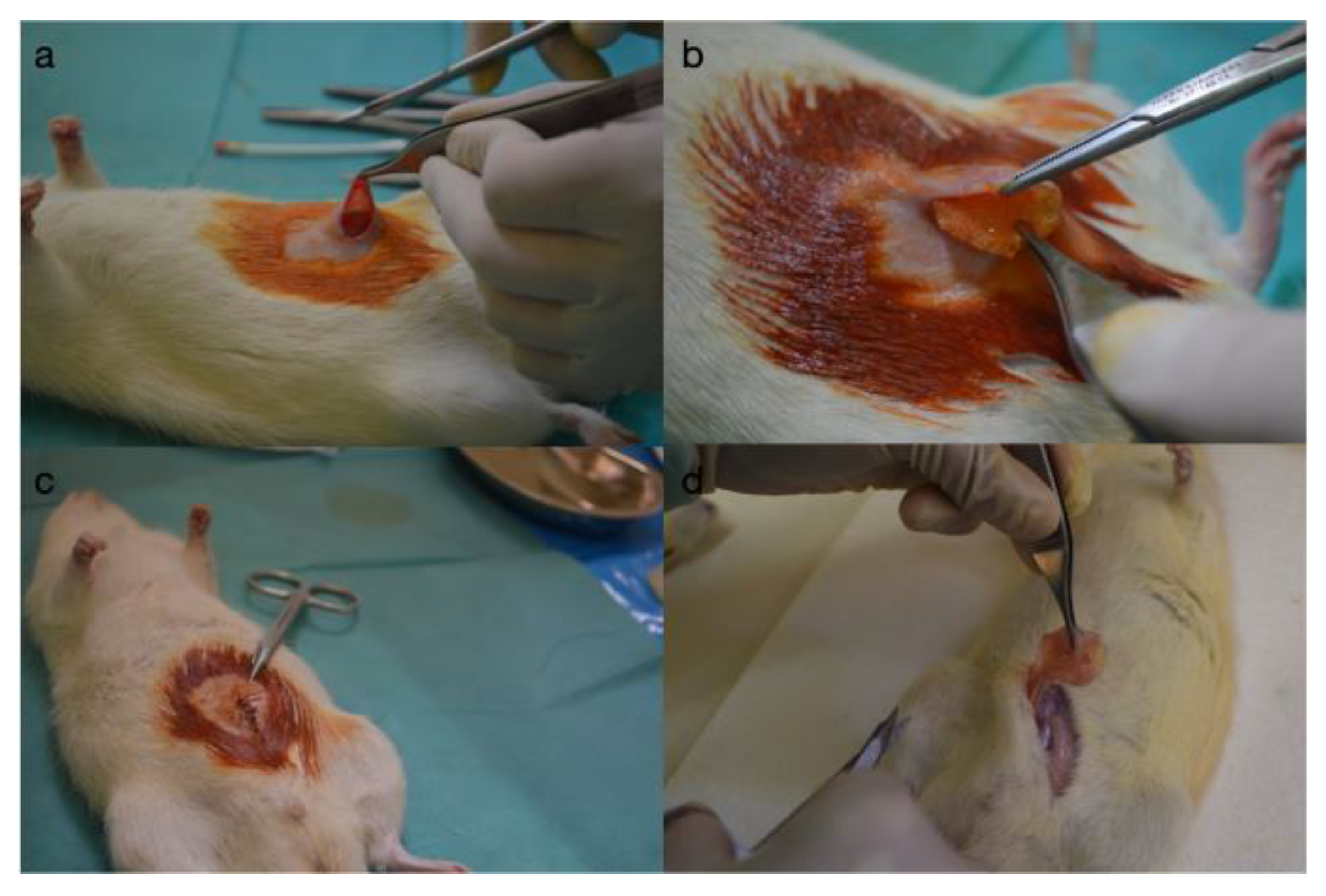 Diagnostics 14 00661 g001