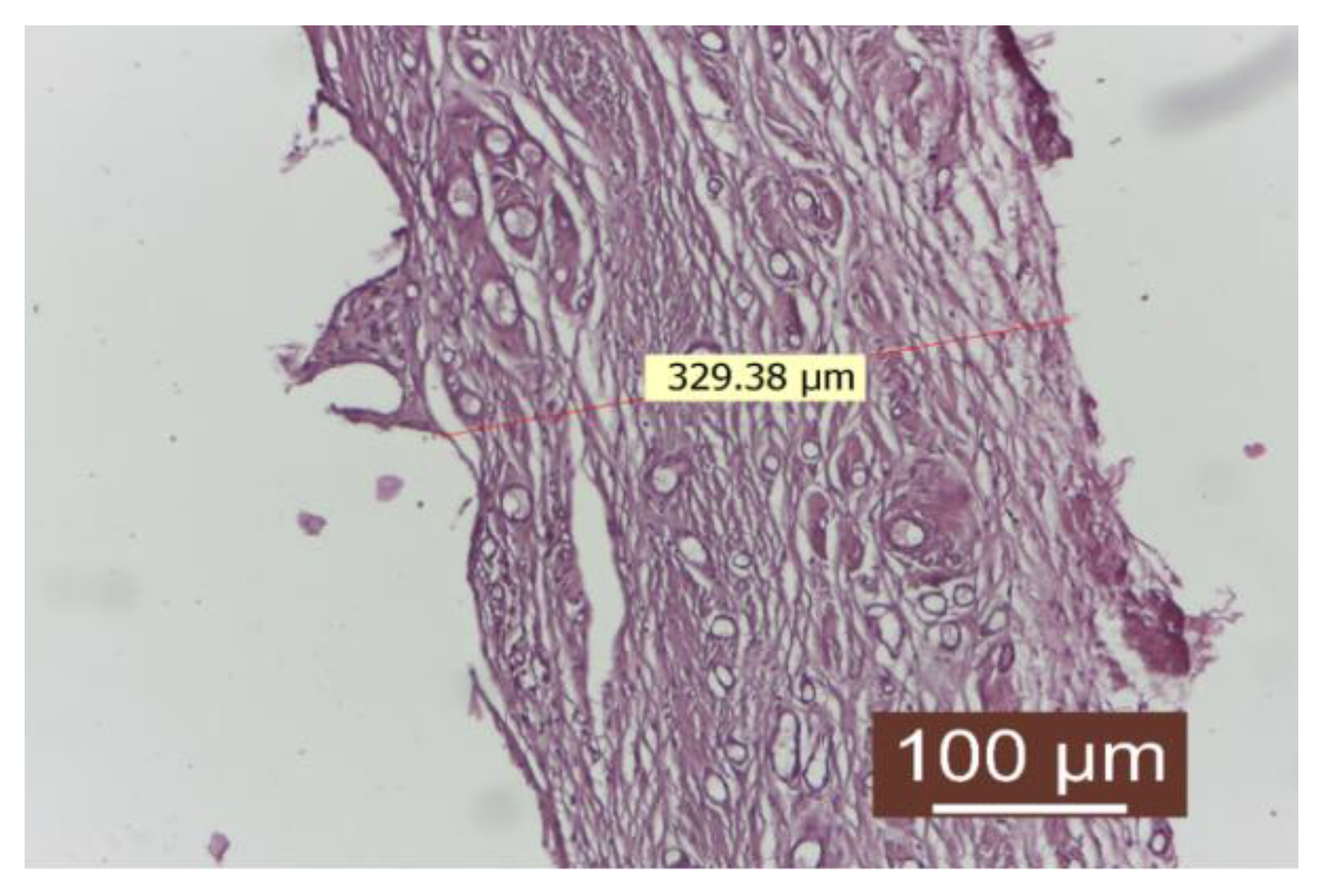 Diagnostics 14 00661 g003