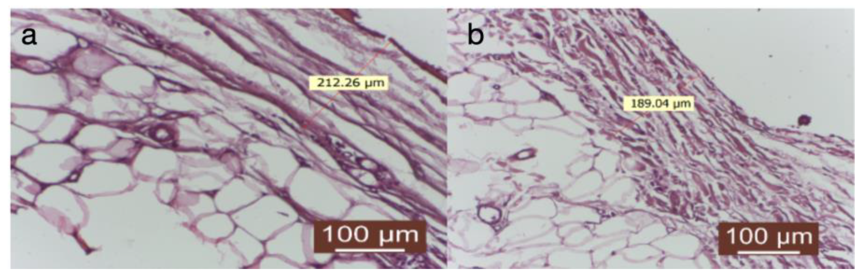 Diagnostics 14 00661 g006