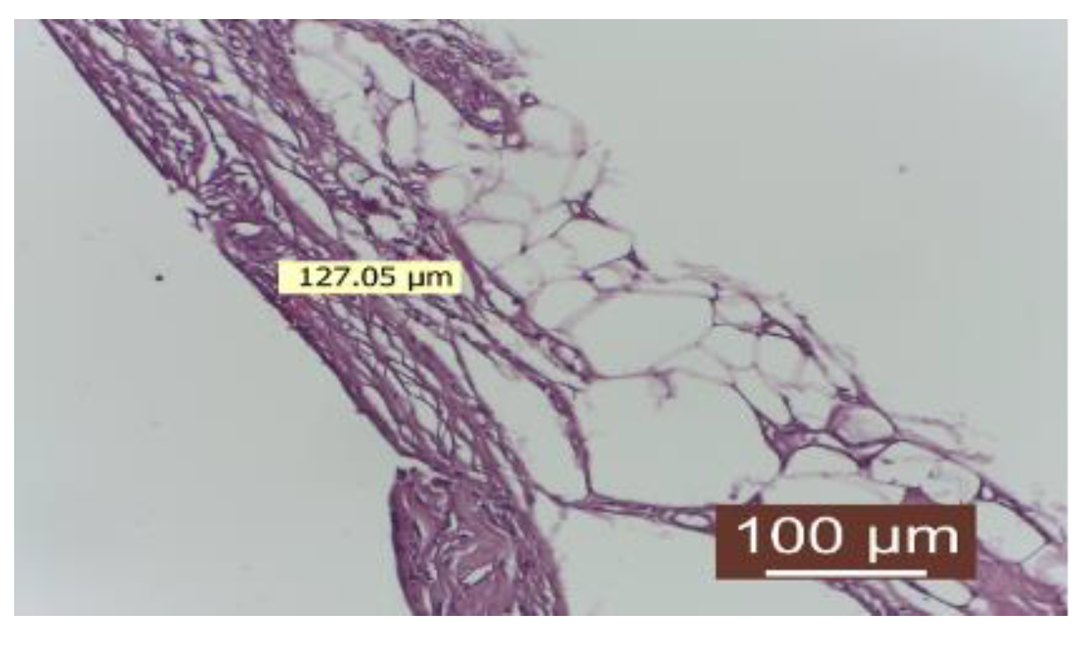 Diagnostics 14 00661 g007