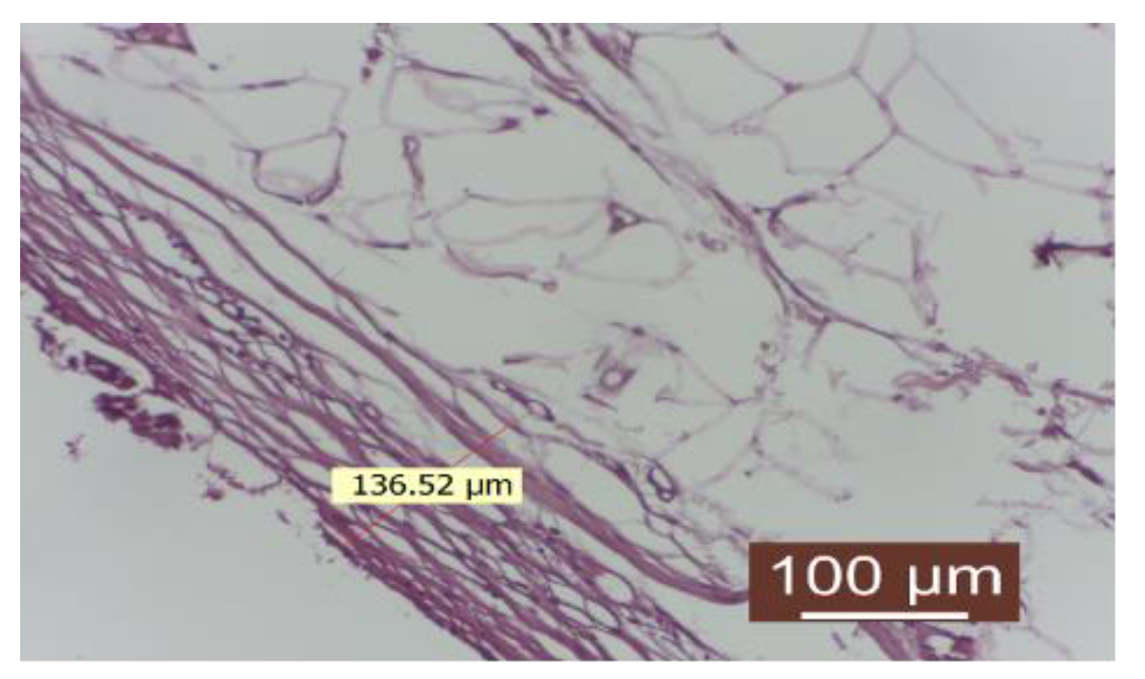Diagnostics 14 00661 g008