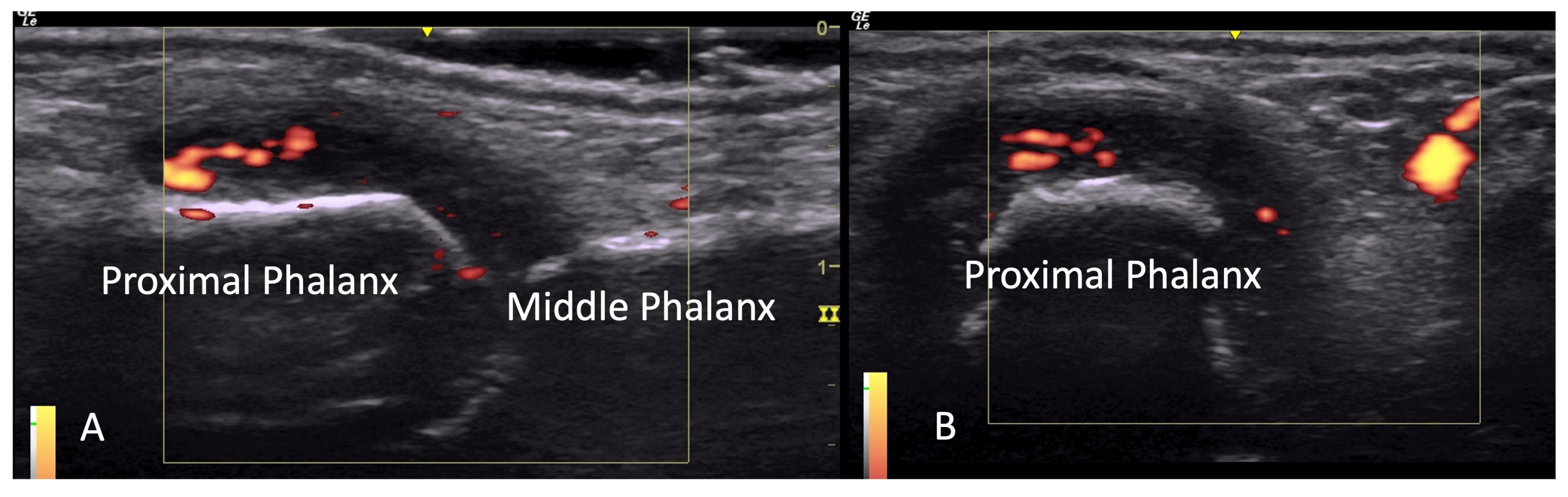 Diagnostics 14 00669 g004