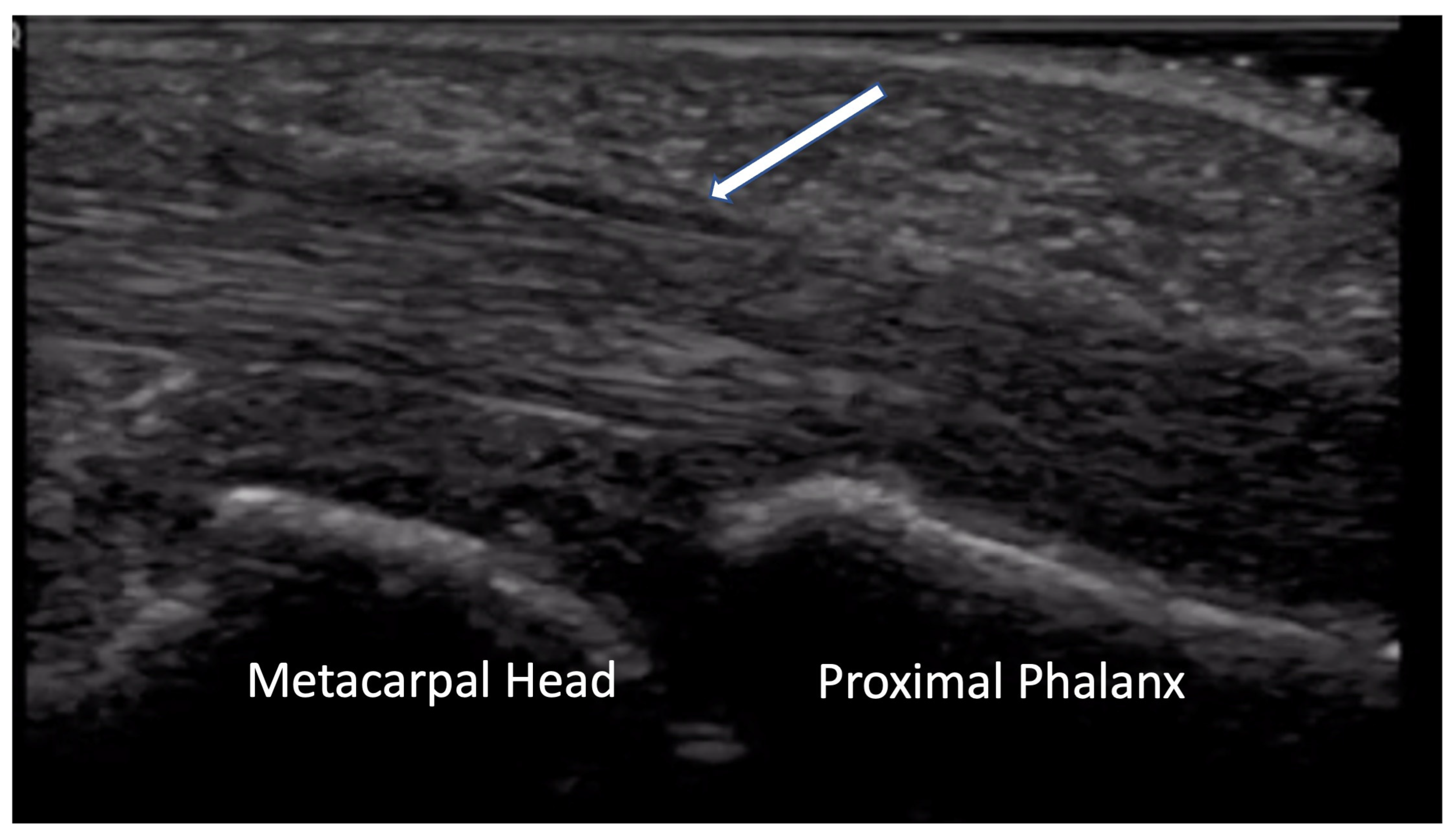 Diagnostics 14 00669 g015