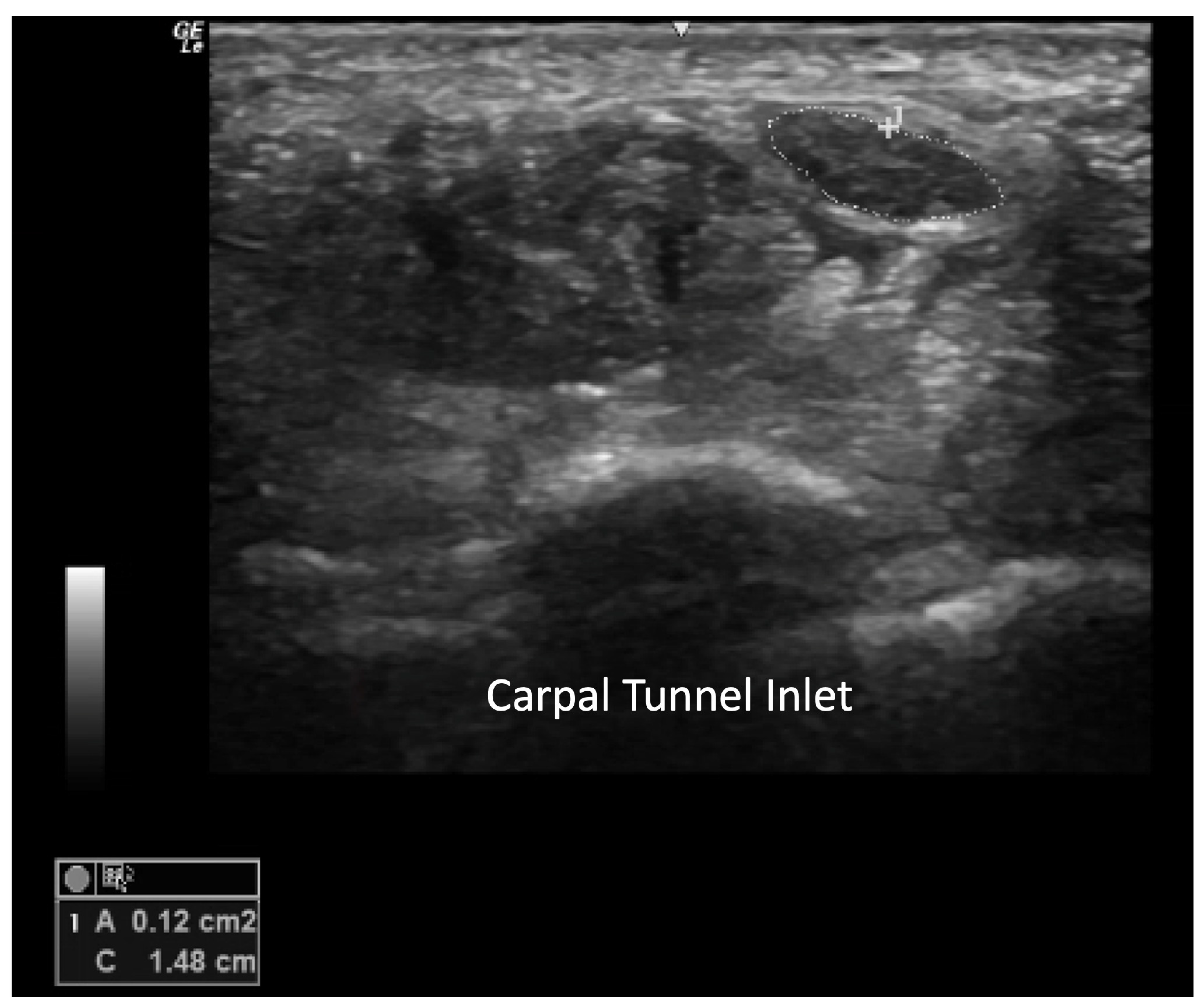 Diagnostics 14 00669 g016