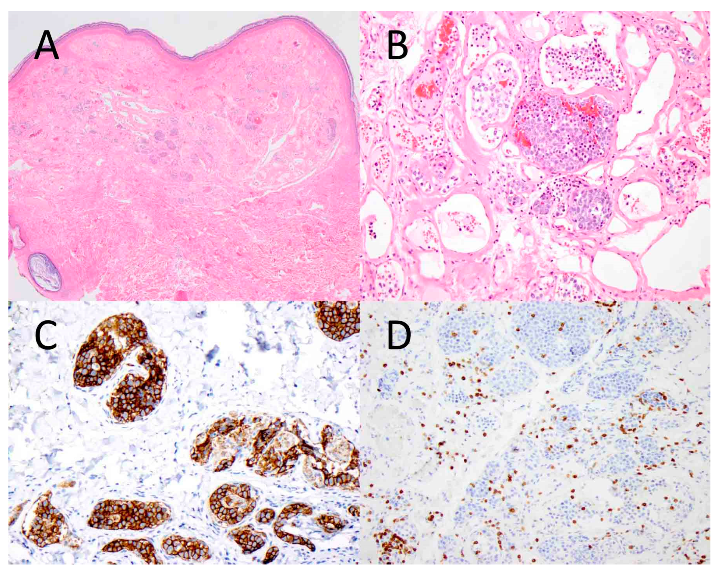 Diagnostics 14 00679 g001