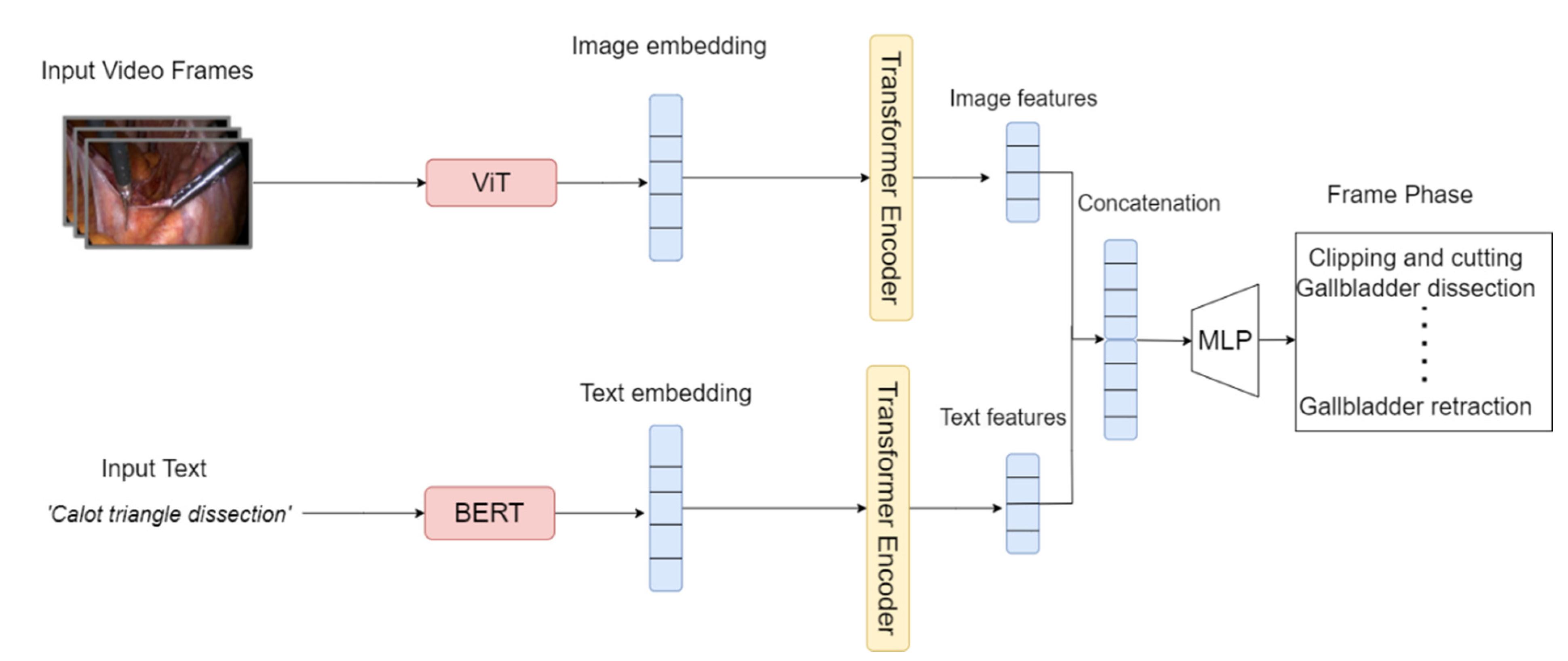 Diagnostics 14 00681 g002