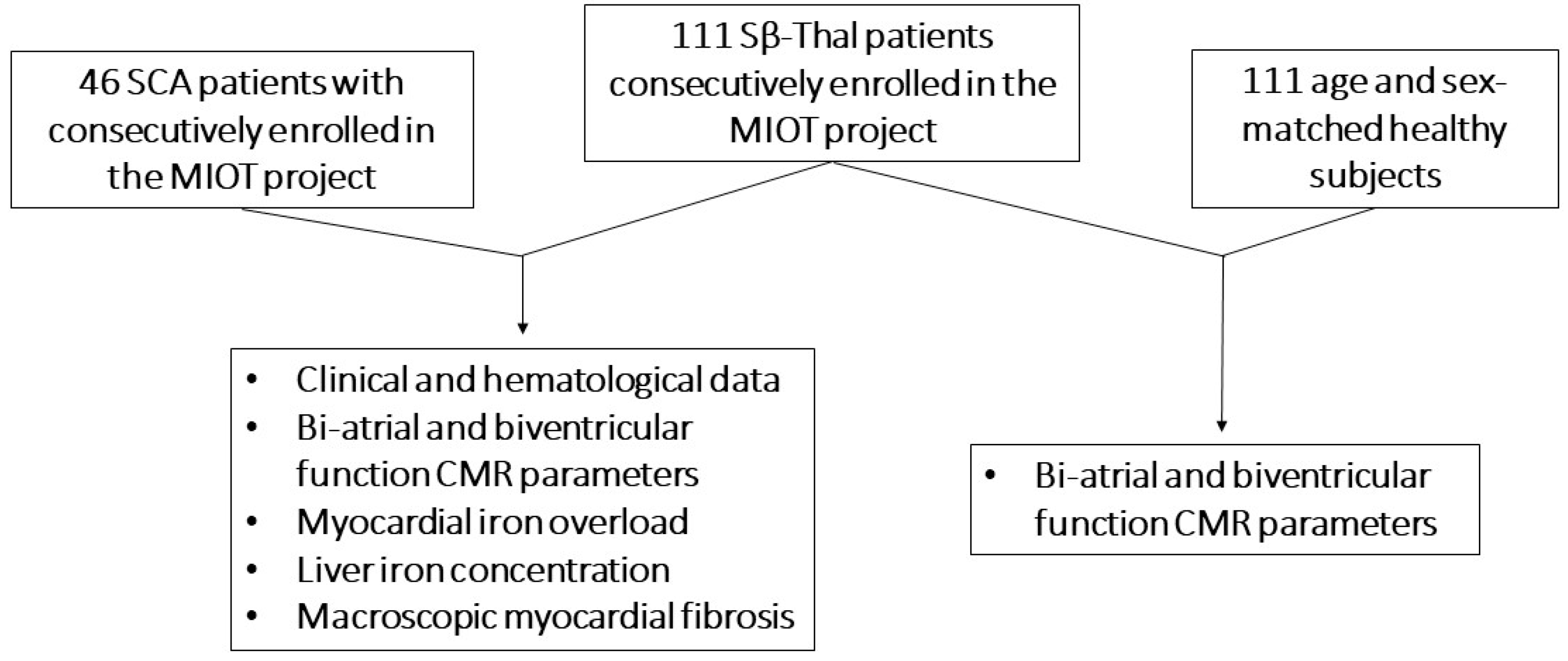 Diagnostics 14 00691 g001 Diagnostics 14 00691 g001