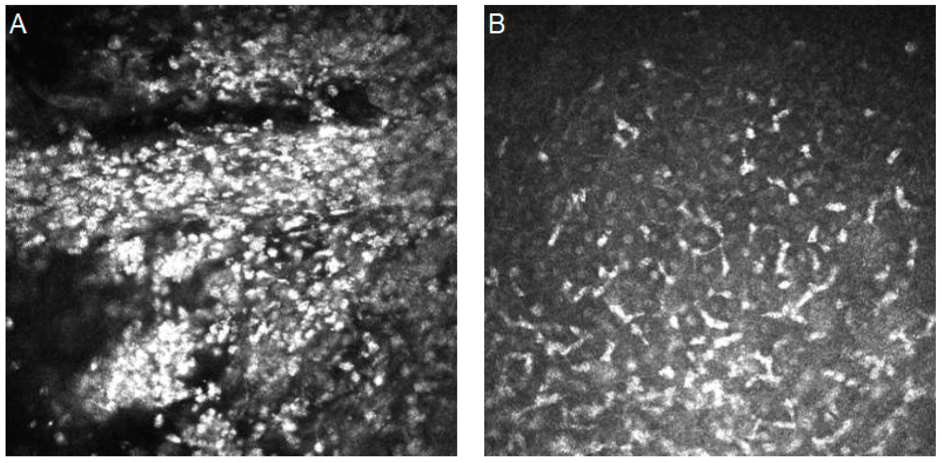 Diagnostics 14 00694 g003