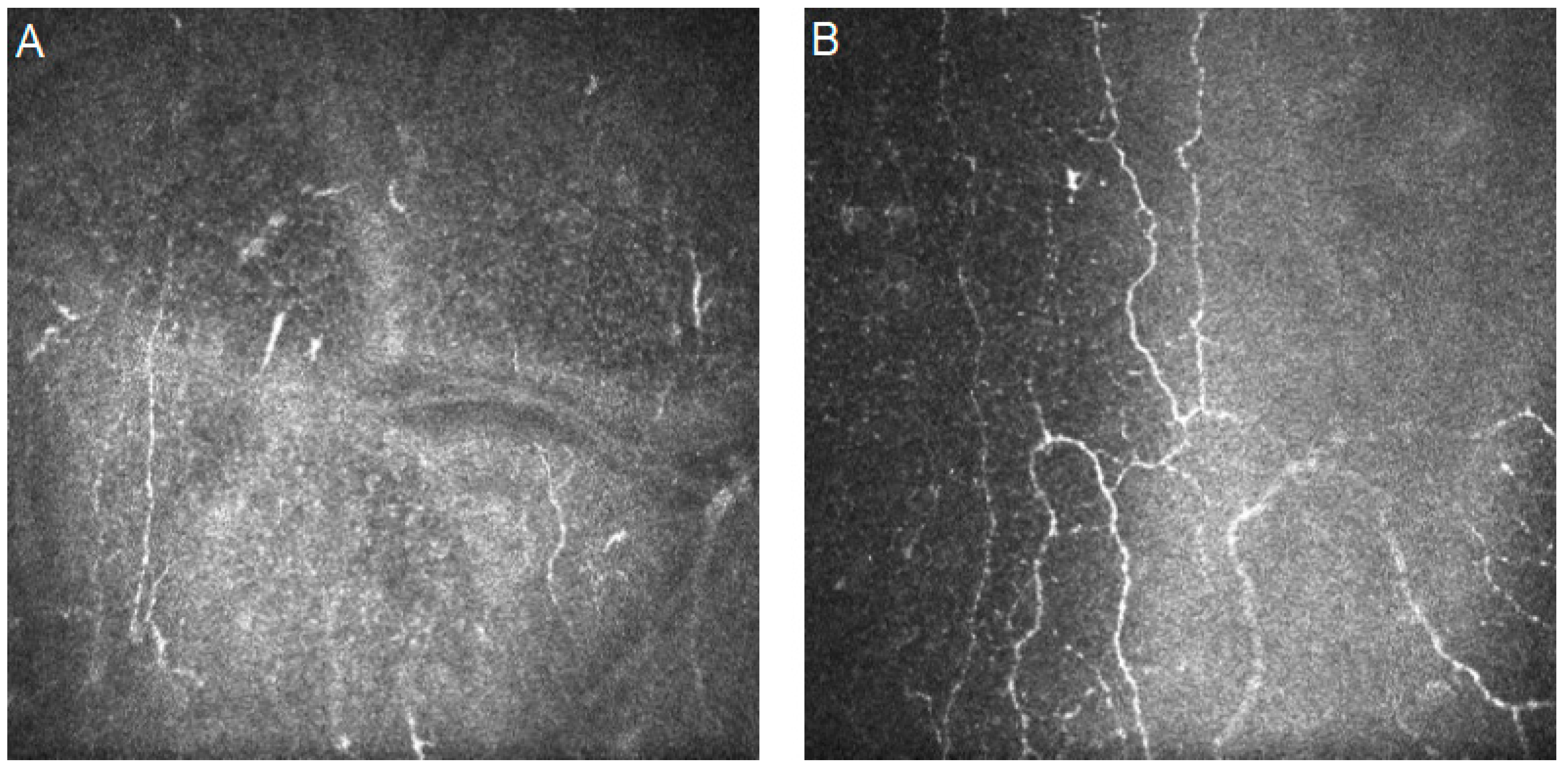 Diagnostics 14 00694 g007