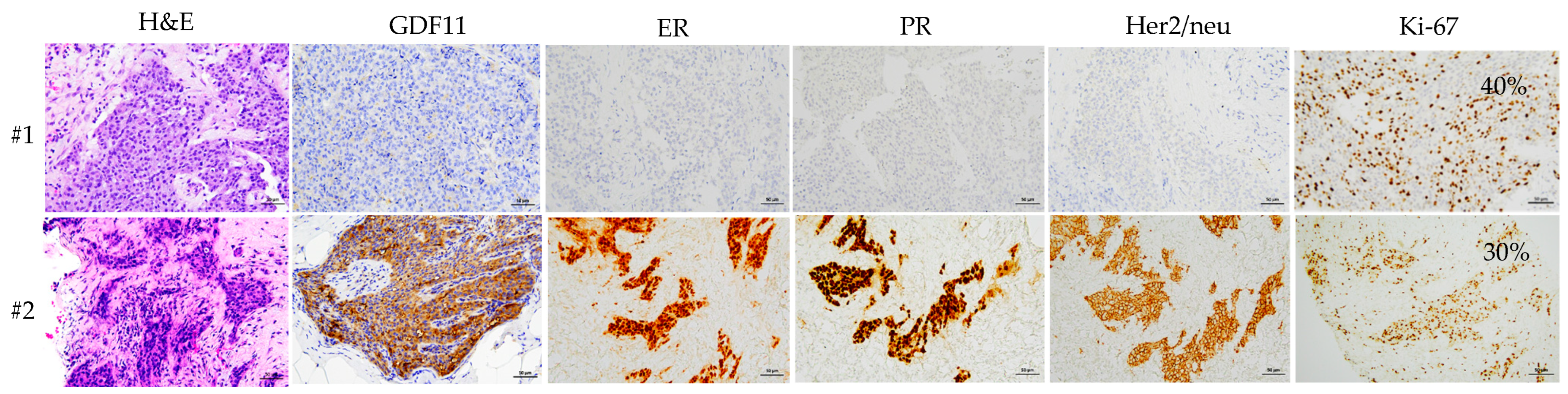 Diagnostics 14 00701 g004