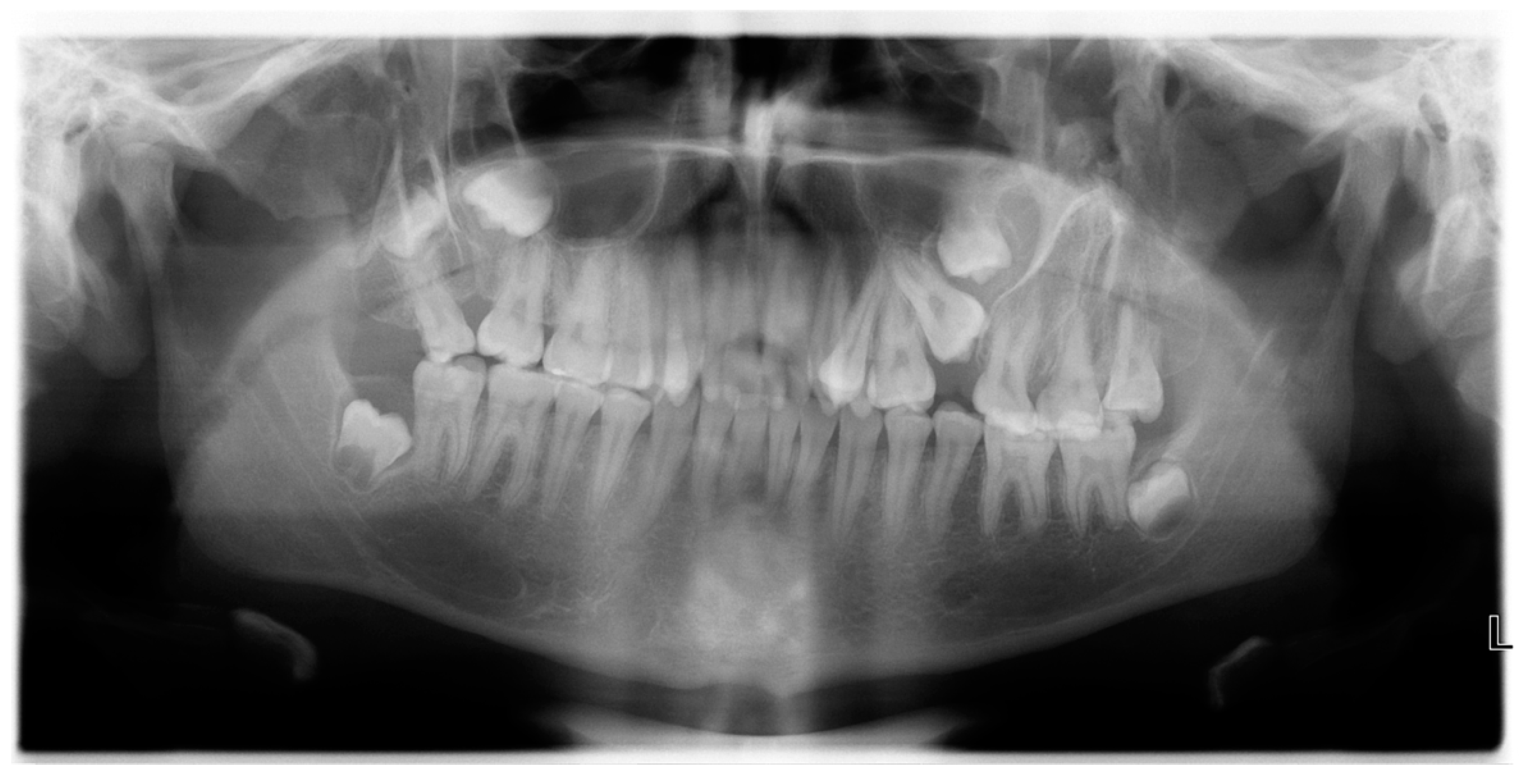 Diagnostics 14 00714 g001