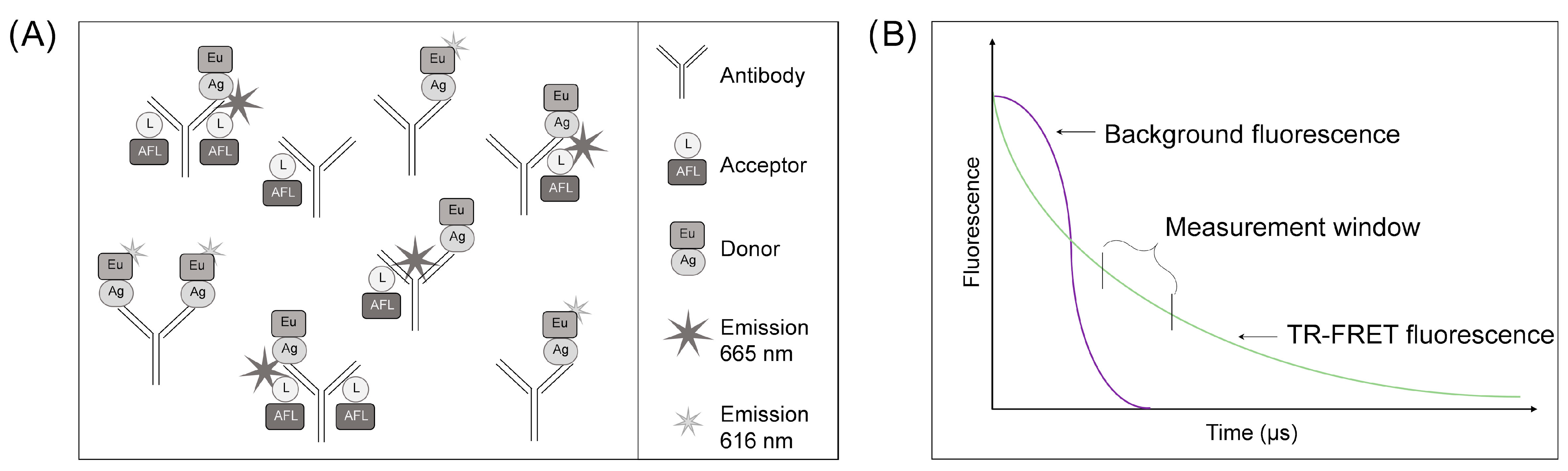 Diagnostics 14 00720 g001 Diagnostics 14 00720 g001