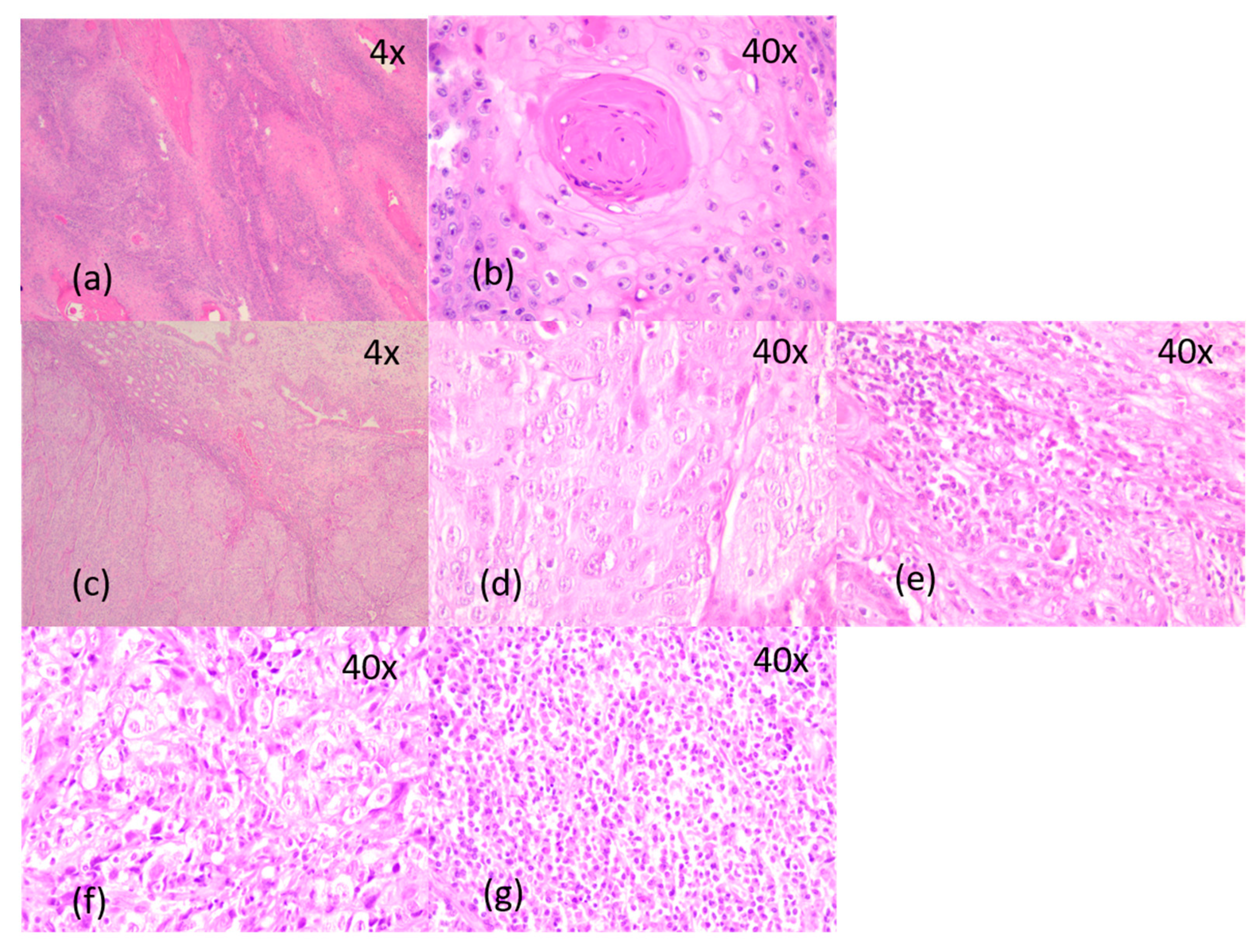 Diagnostics 14 00722 g009