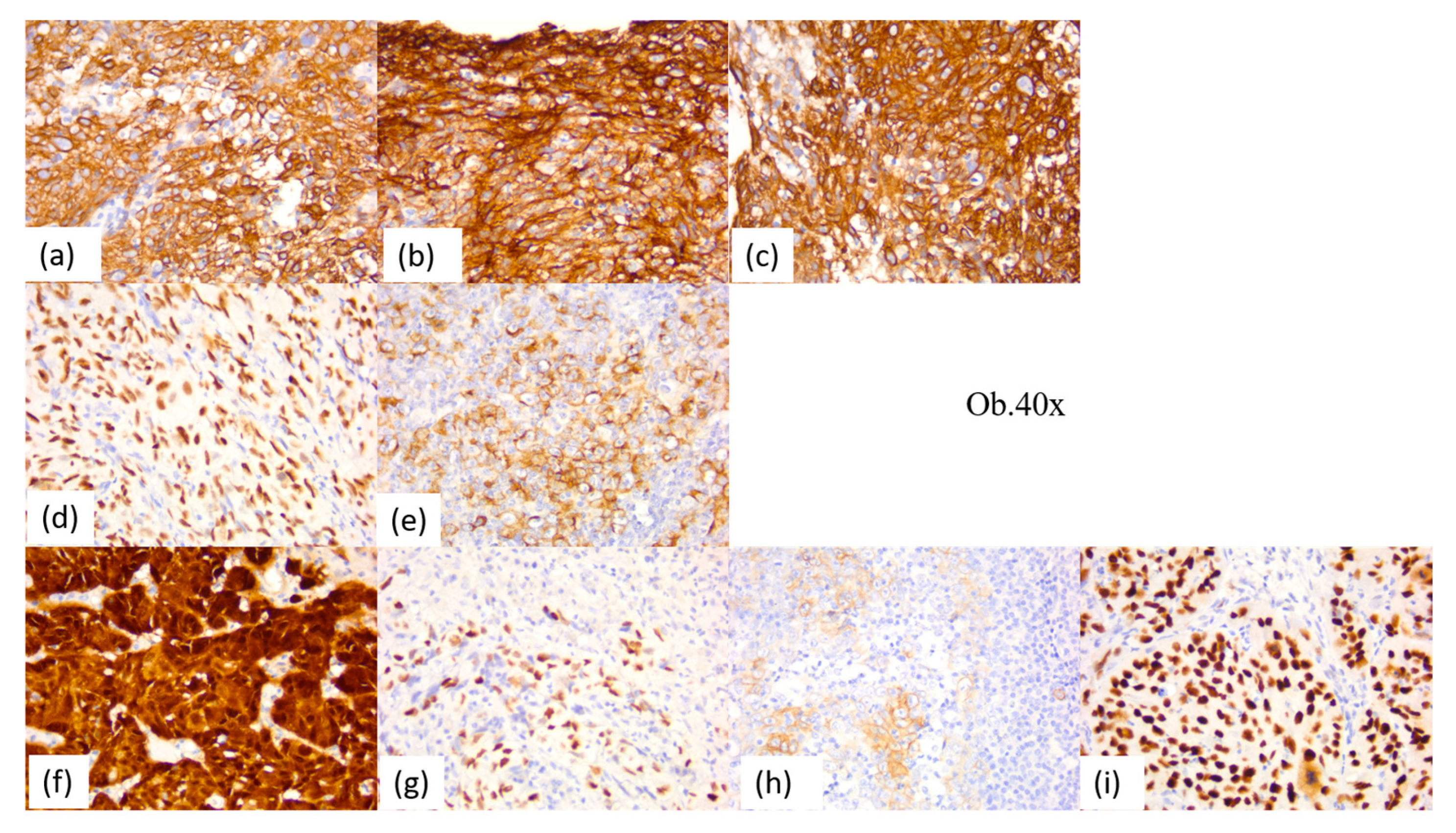 Diagnostics 14 00722 g010