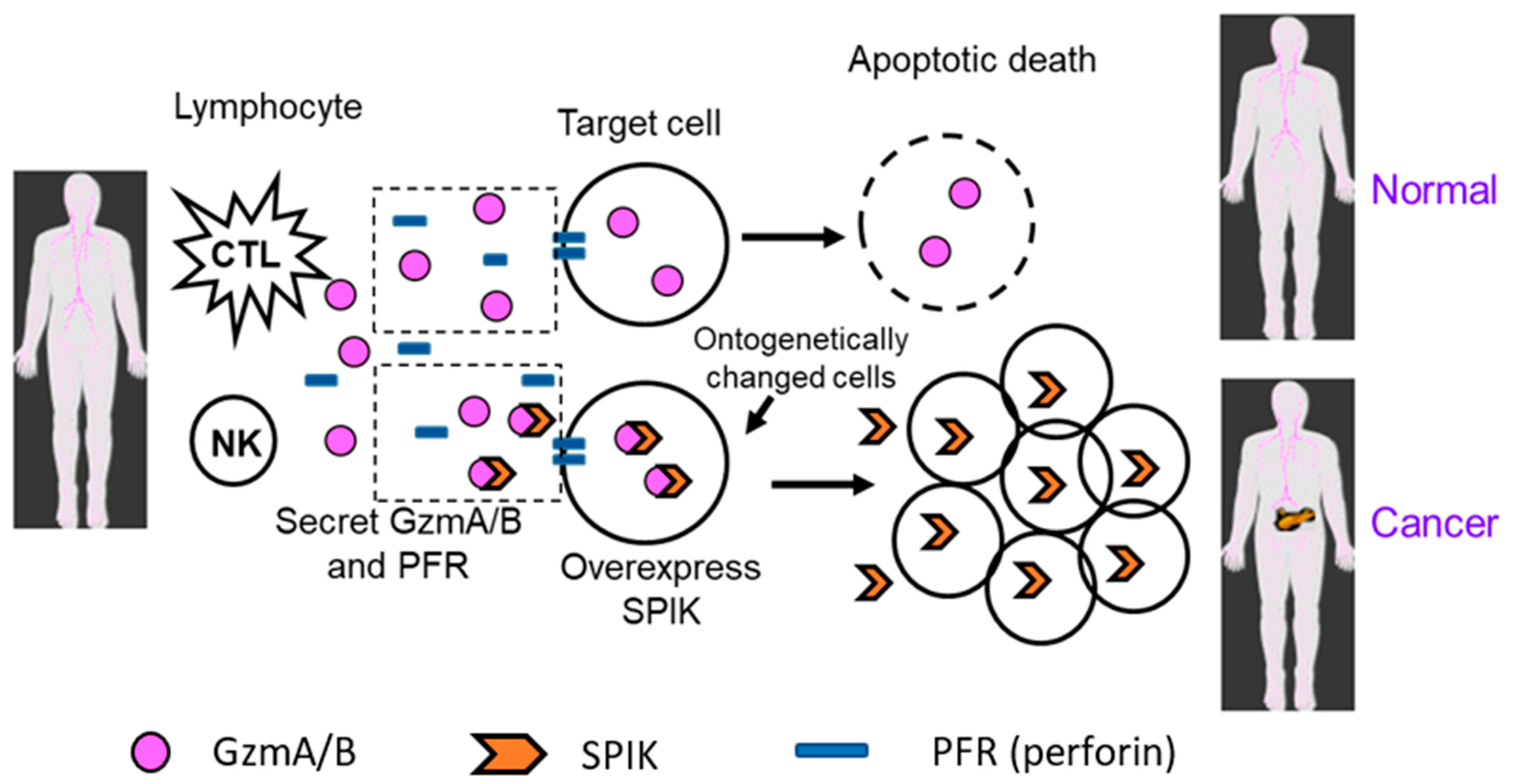 Diagnostics 14 00725 g001