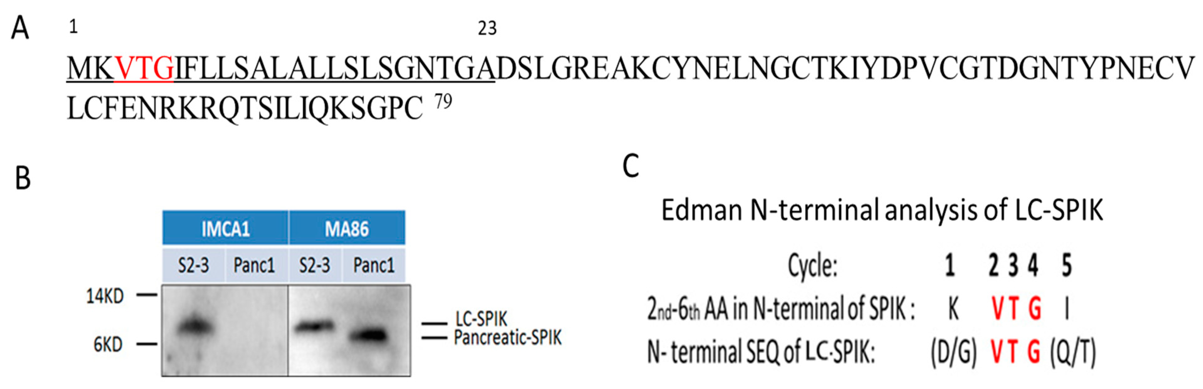 Diagnostics 14 00725 g002