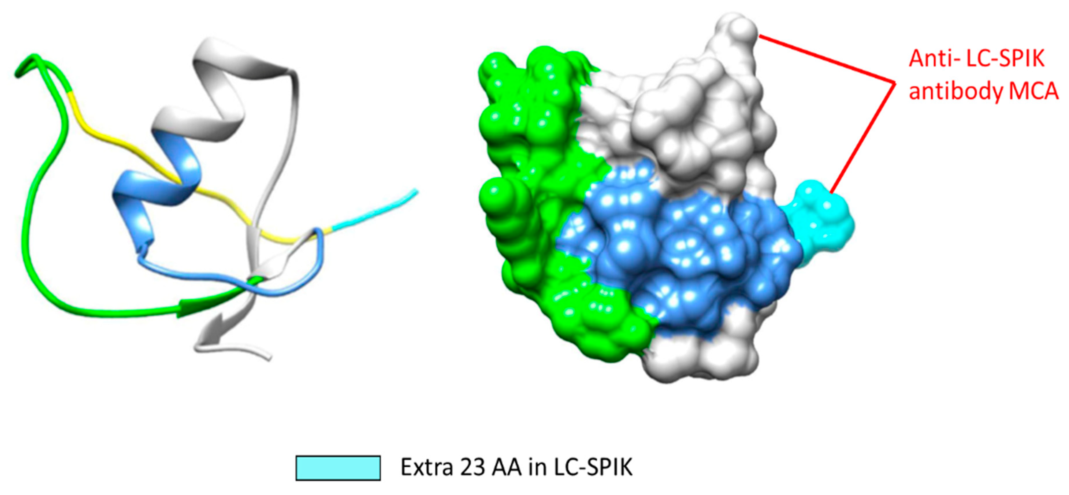 Diagnostics 14 00725 g004