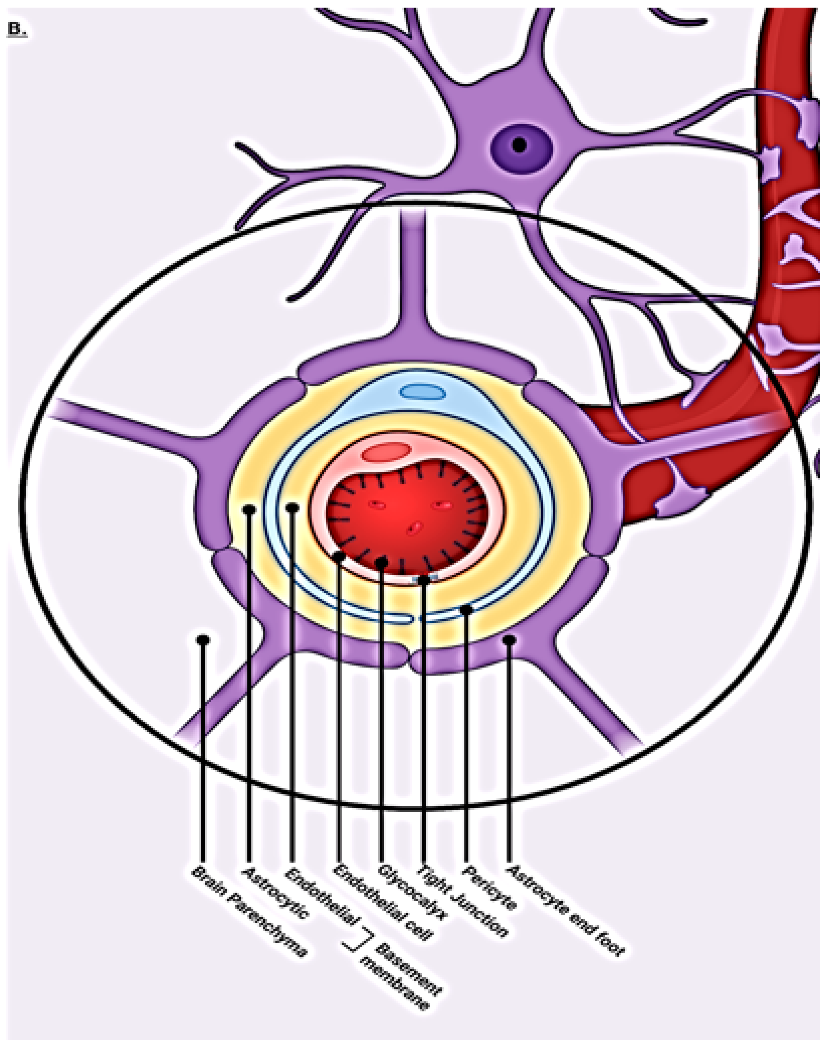Diagnostics 14 00726 g001b