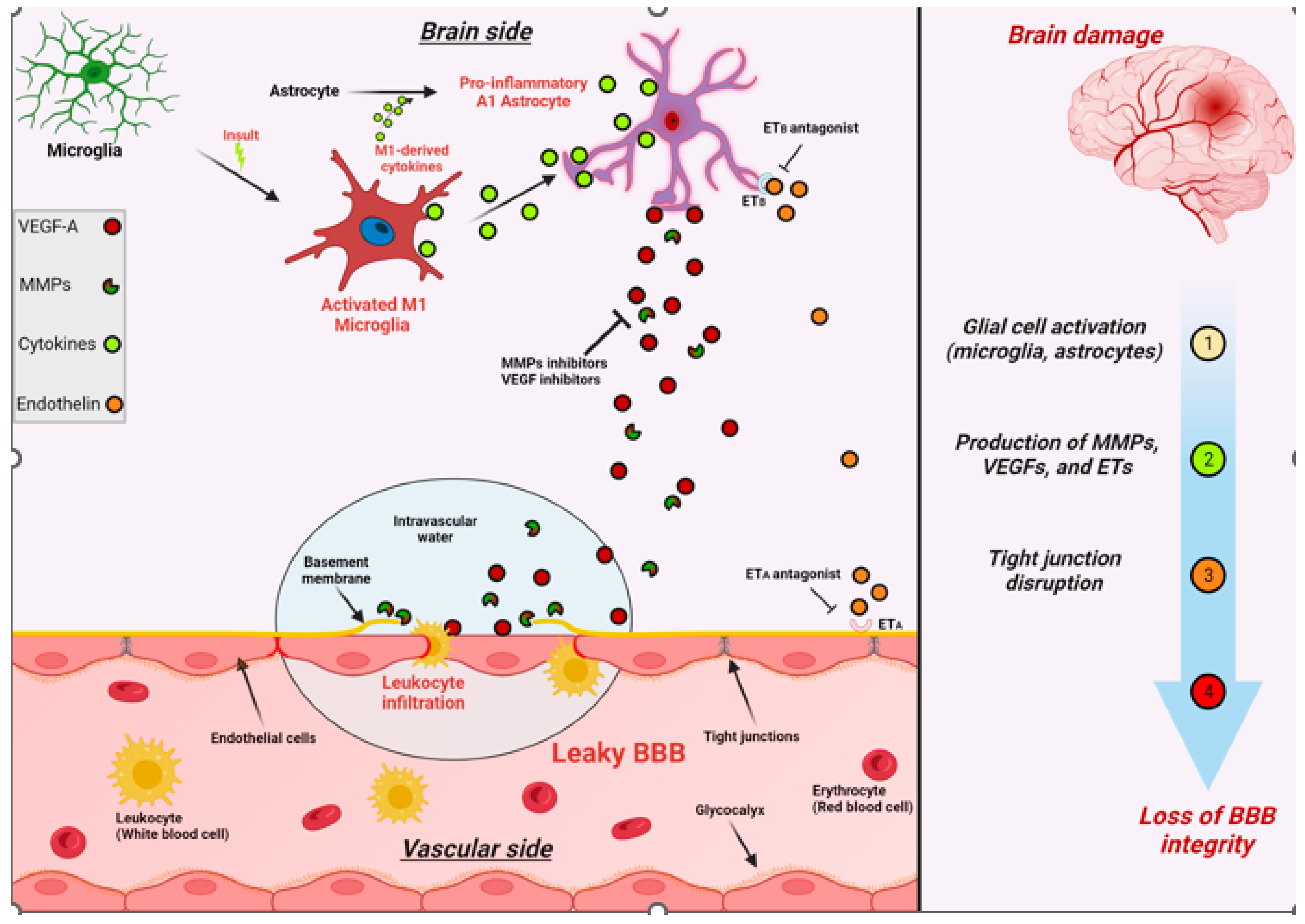 Diagnostics 14 00726 g004