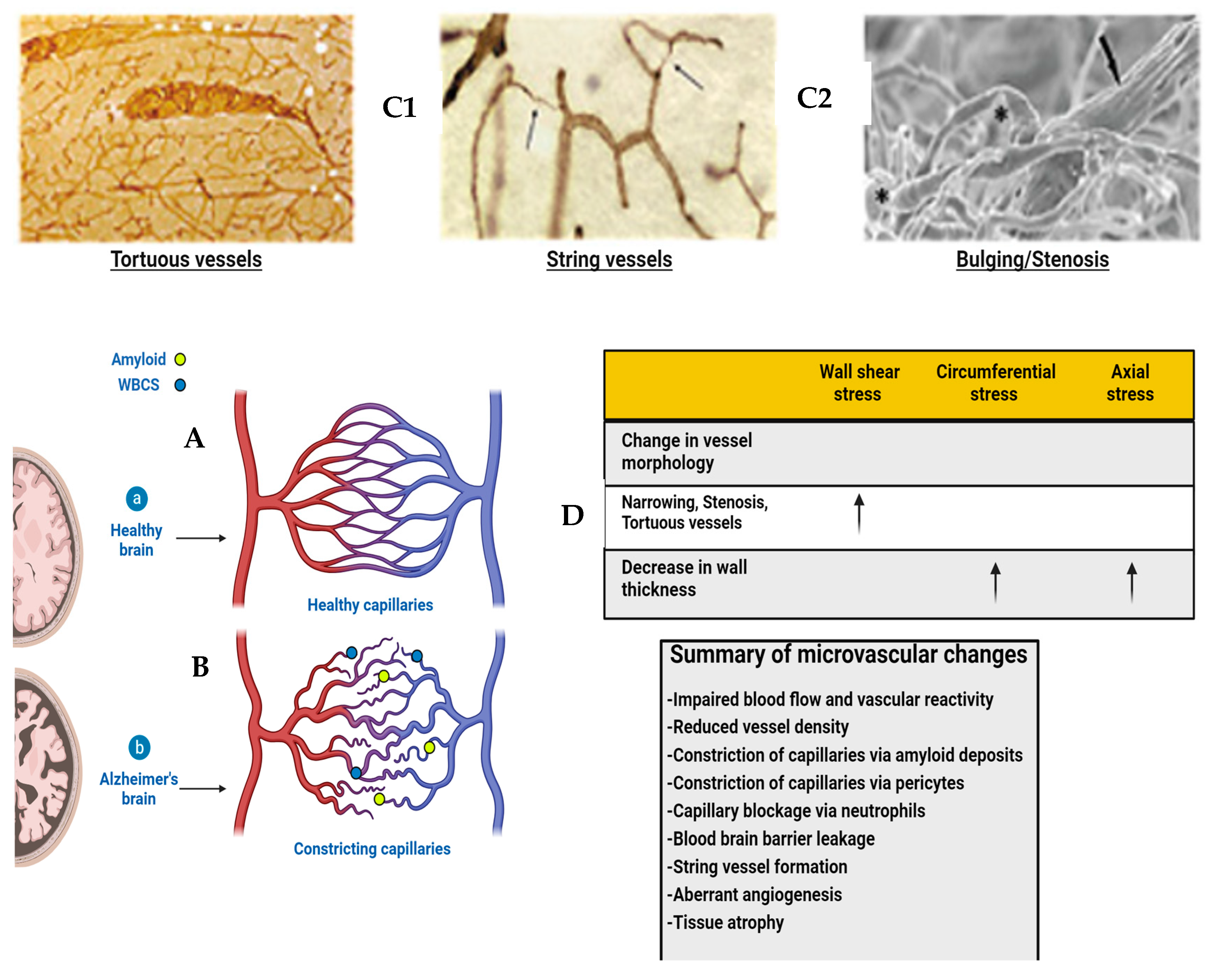Diagnostics 14 00726 g005