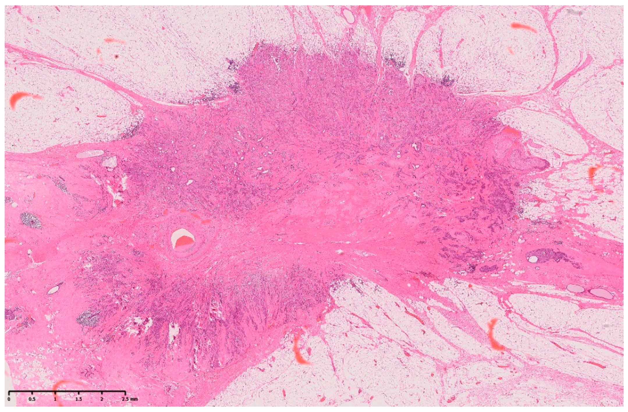 Diagnostics 14 00727 g005