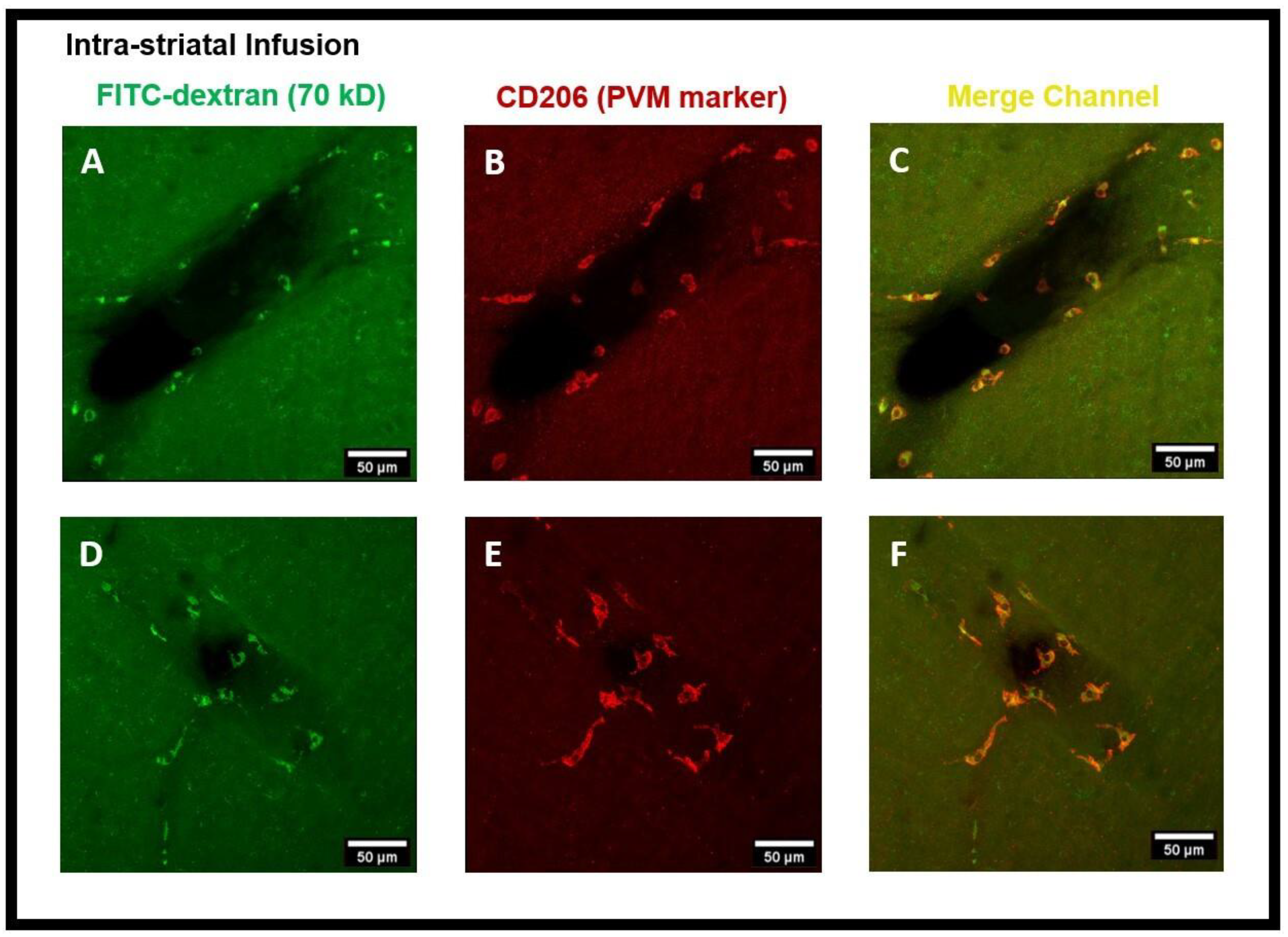 Diagnostics 14 00731 g003