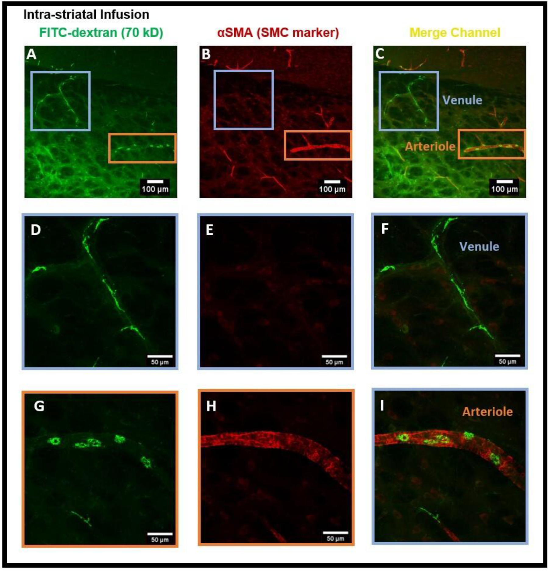 Diagnostics 14 00731 g004