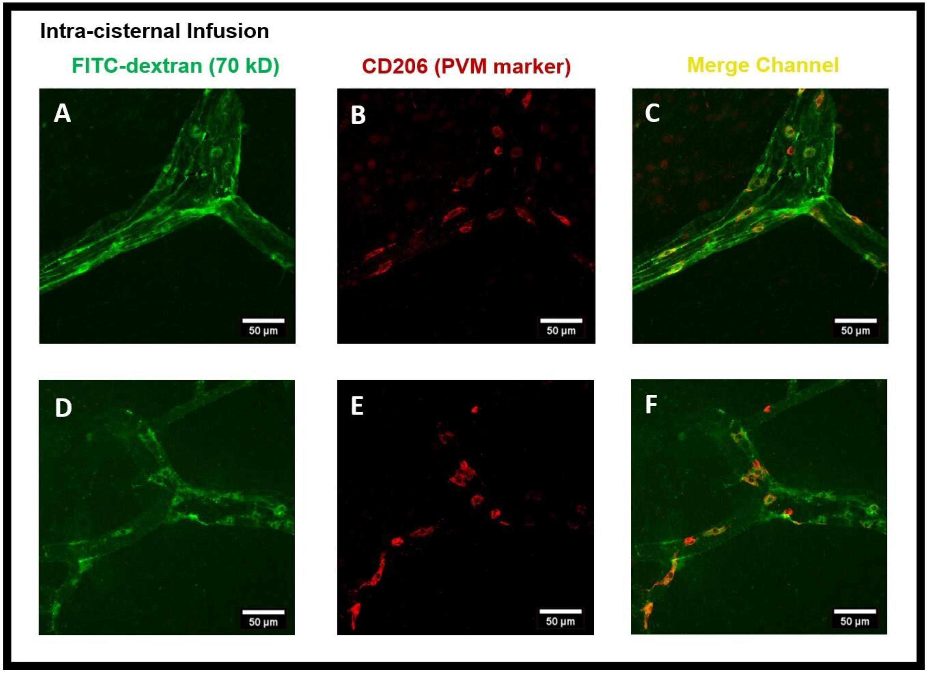 Diagnostics 14 00731 g007