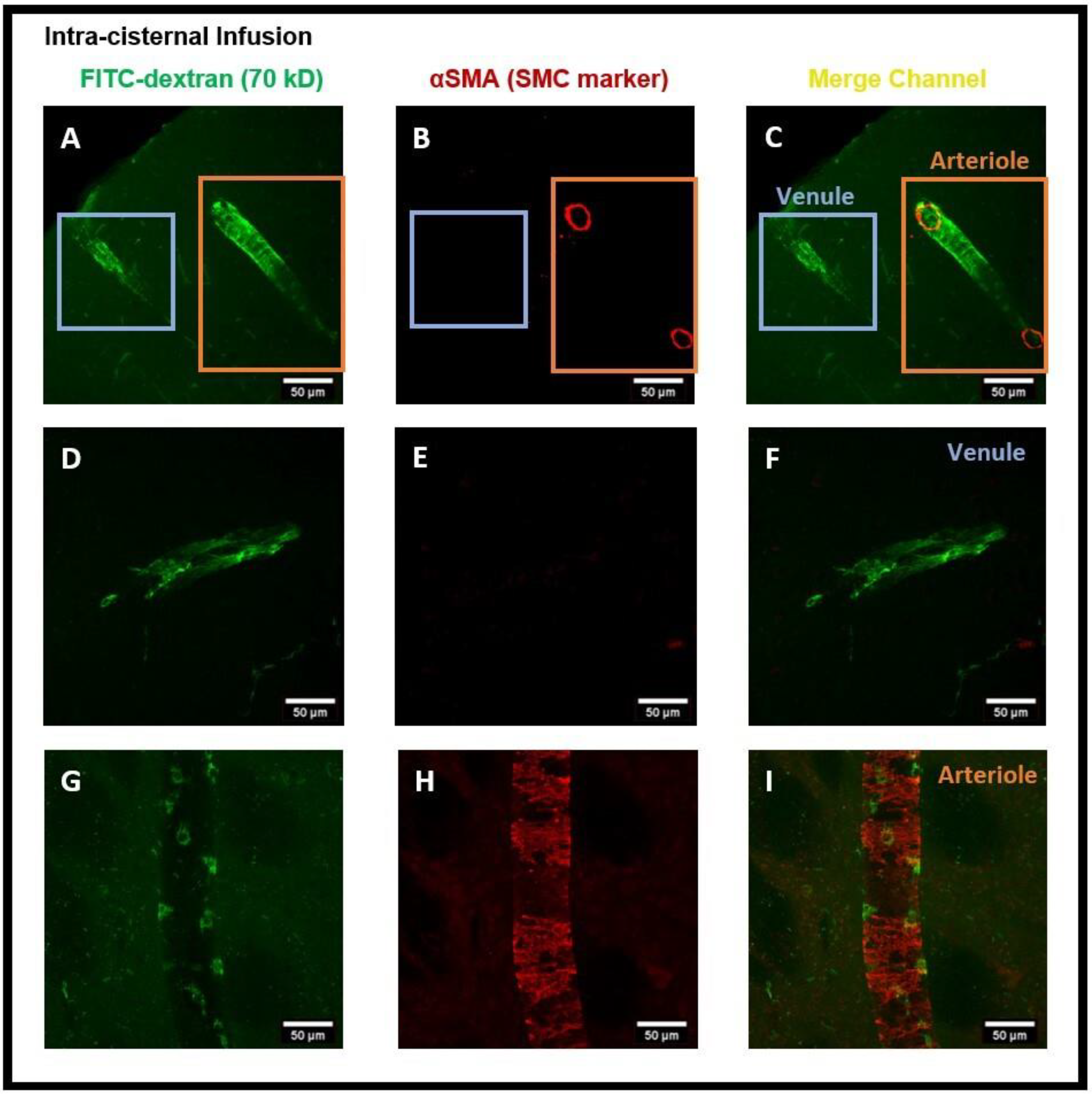 Diagnostics 14 00731 g008
