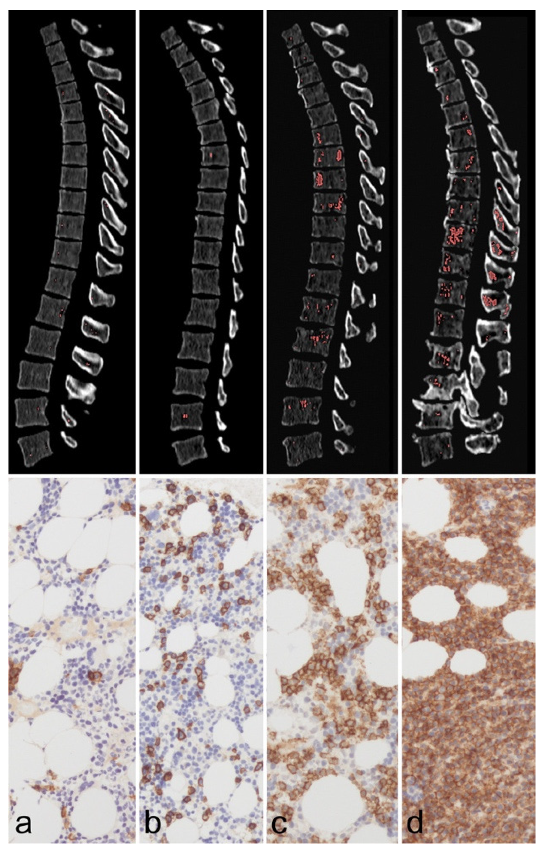 Diagnostics 14 00732 g008