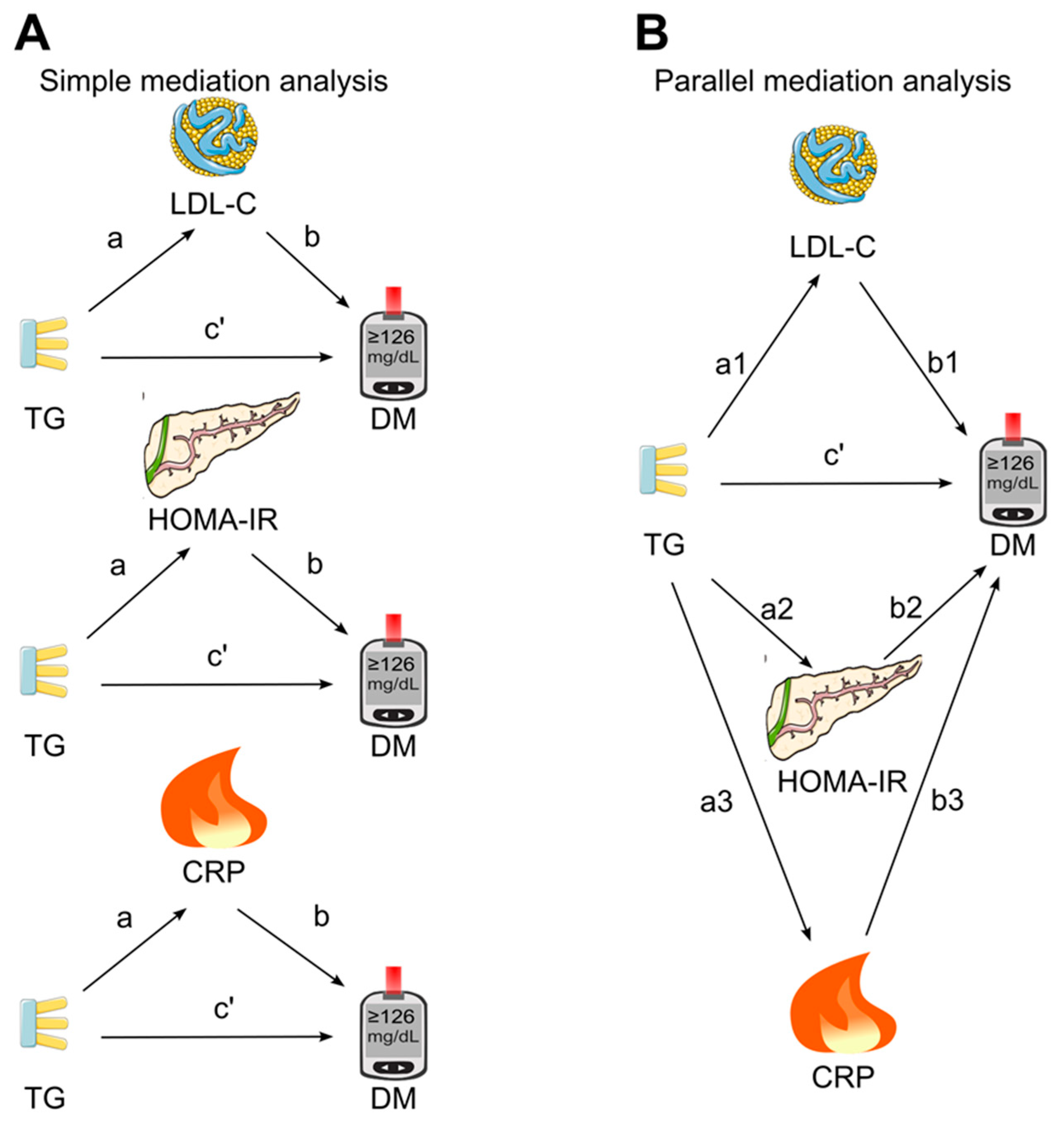 Diagnostics 14 00733 g002 Diagnostics 14 00733 g002