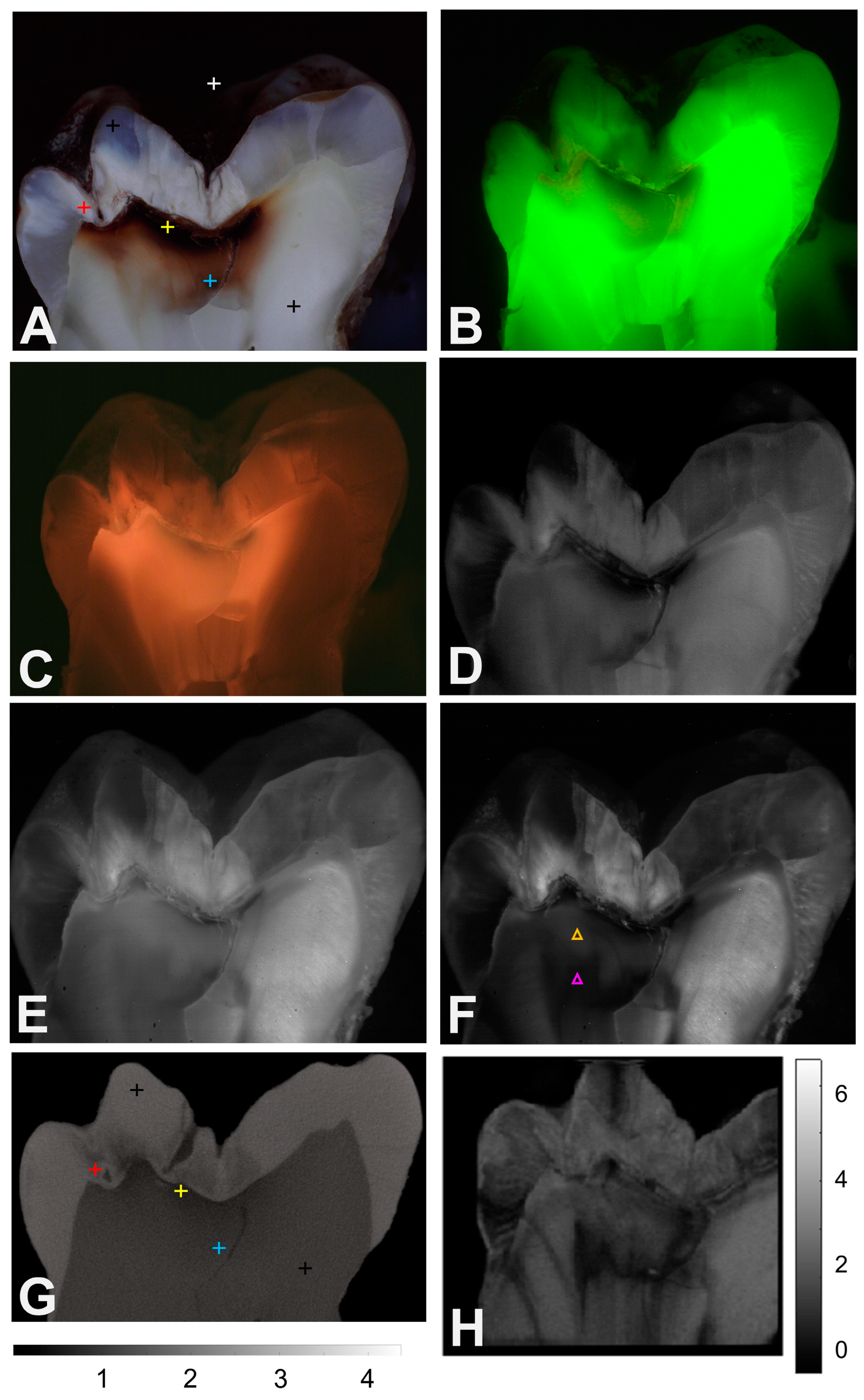 Diagnostics 14 00744 g001