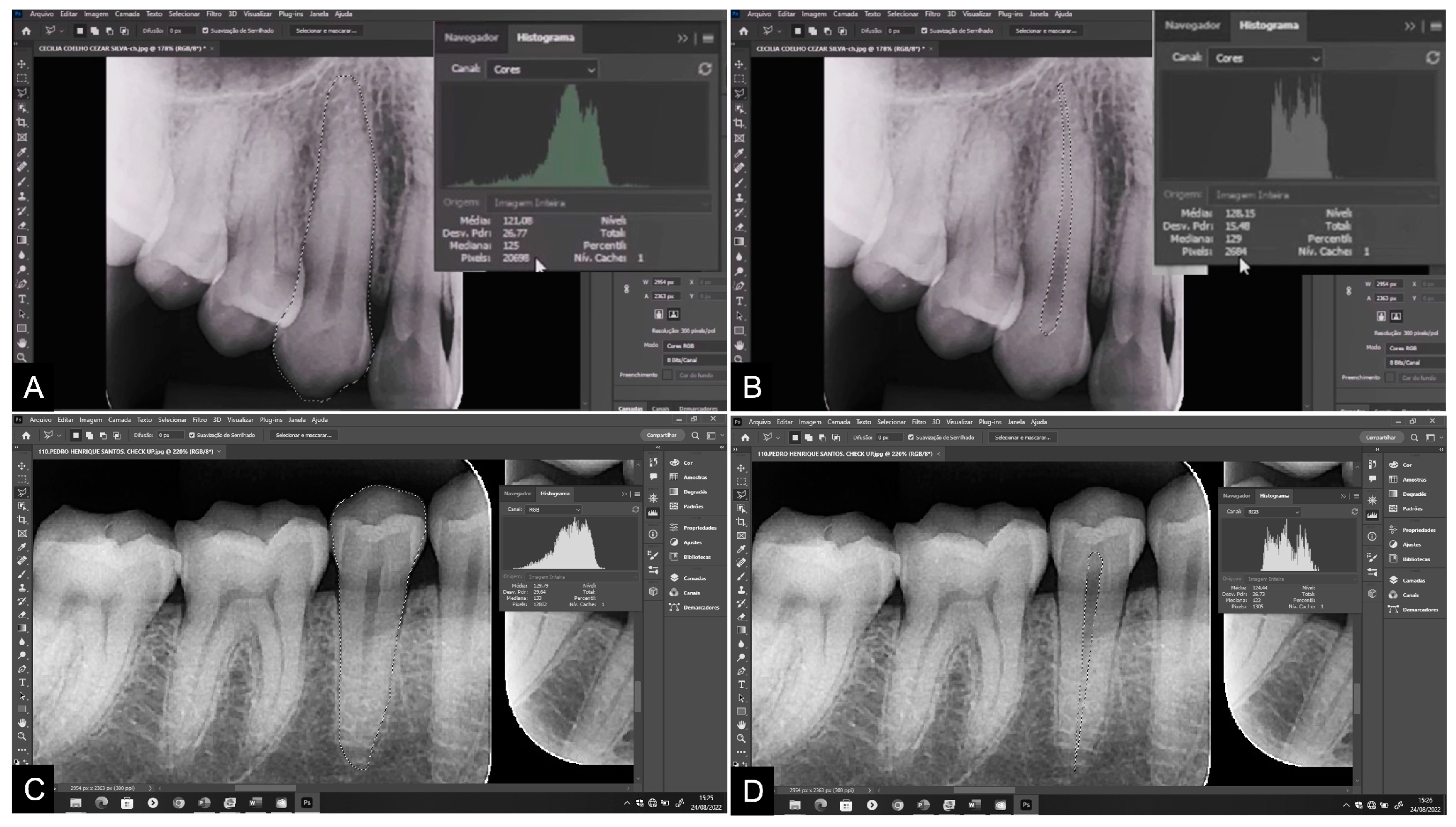 Diagnostics 14 00749 g002