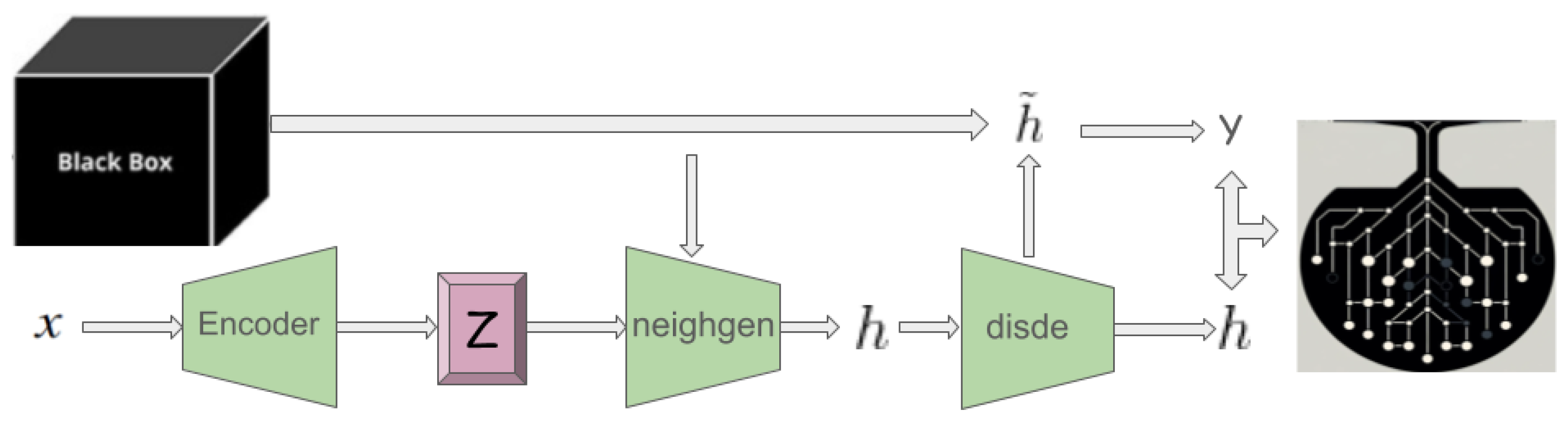 Diagnostics 14 00753 g002