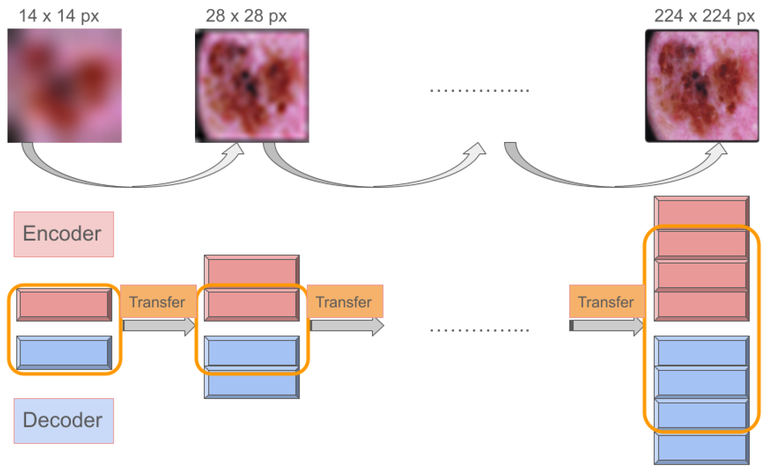Diagnostics 14 00753 g005