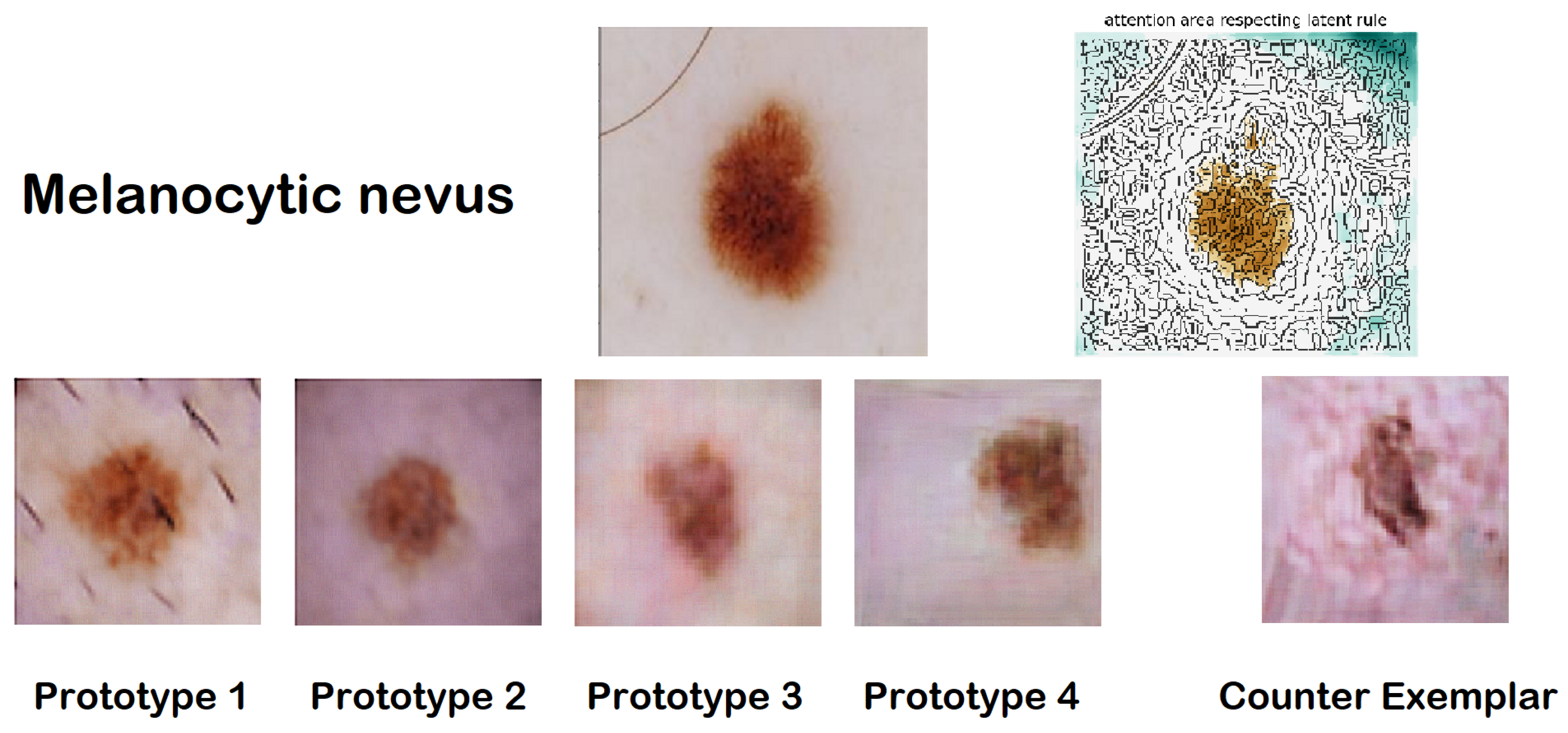 Diagnostics 14 00753 g009