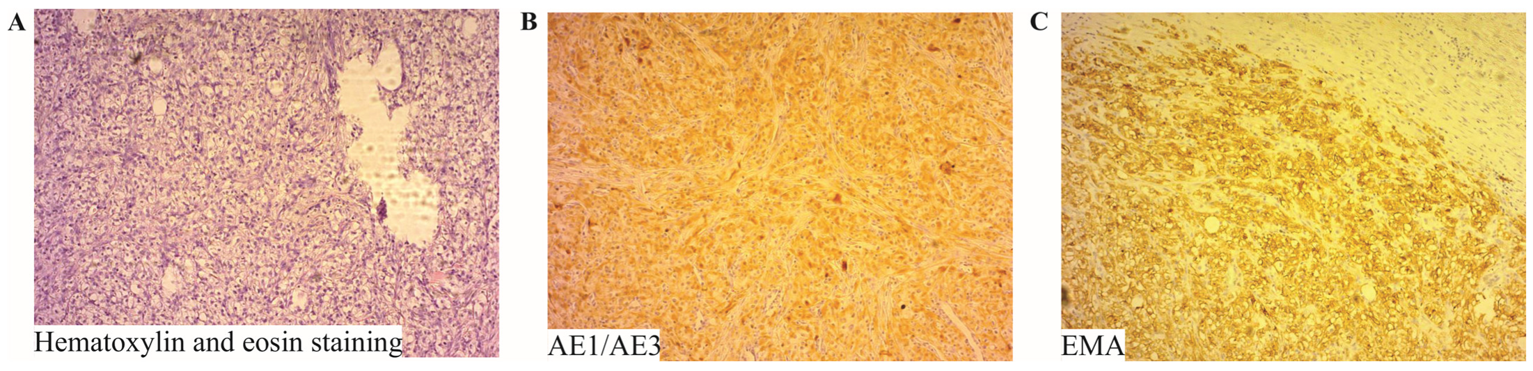 Diagnostics 14 00761 g002 Diagnostics 14 00761 g002