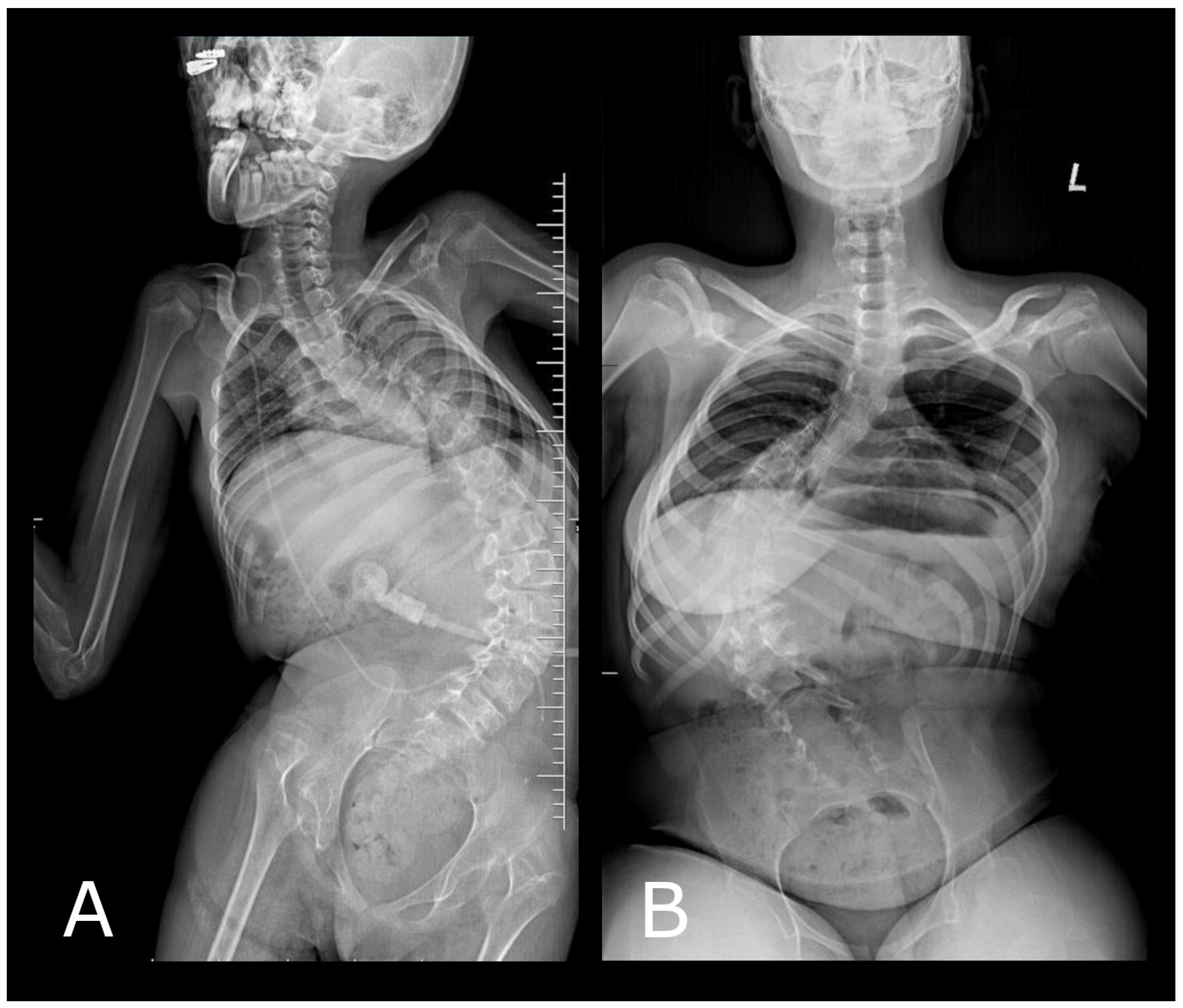 Diagnostics 14 00773 g001