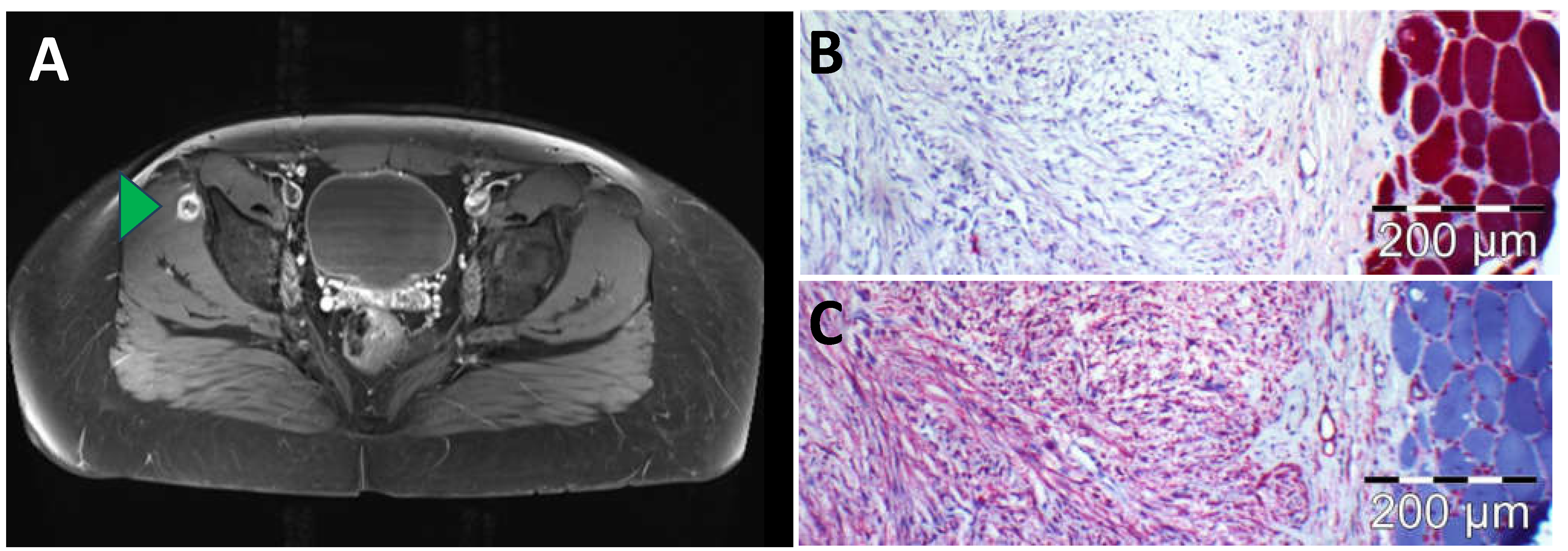 Diagnostics 14 00783 g002