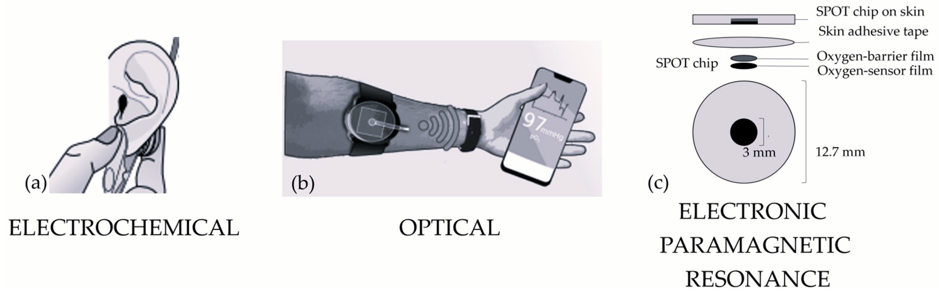 Diagnostics 14 00785 g003