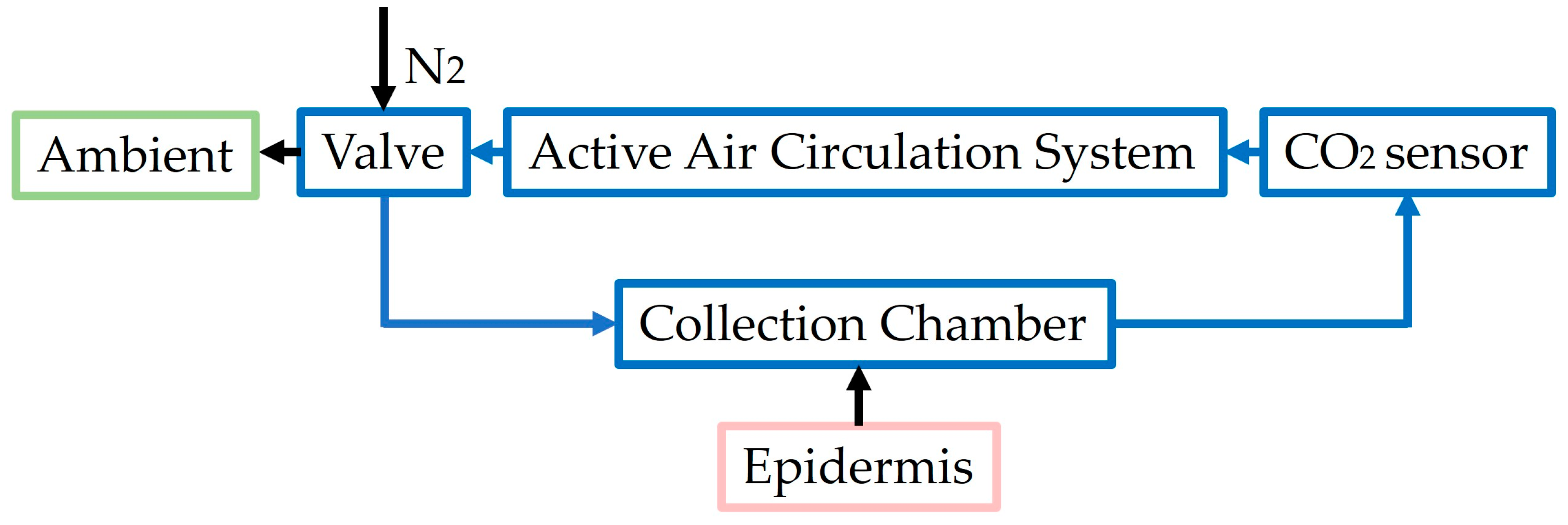Diagnostics 14 00785 g005