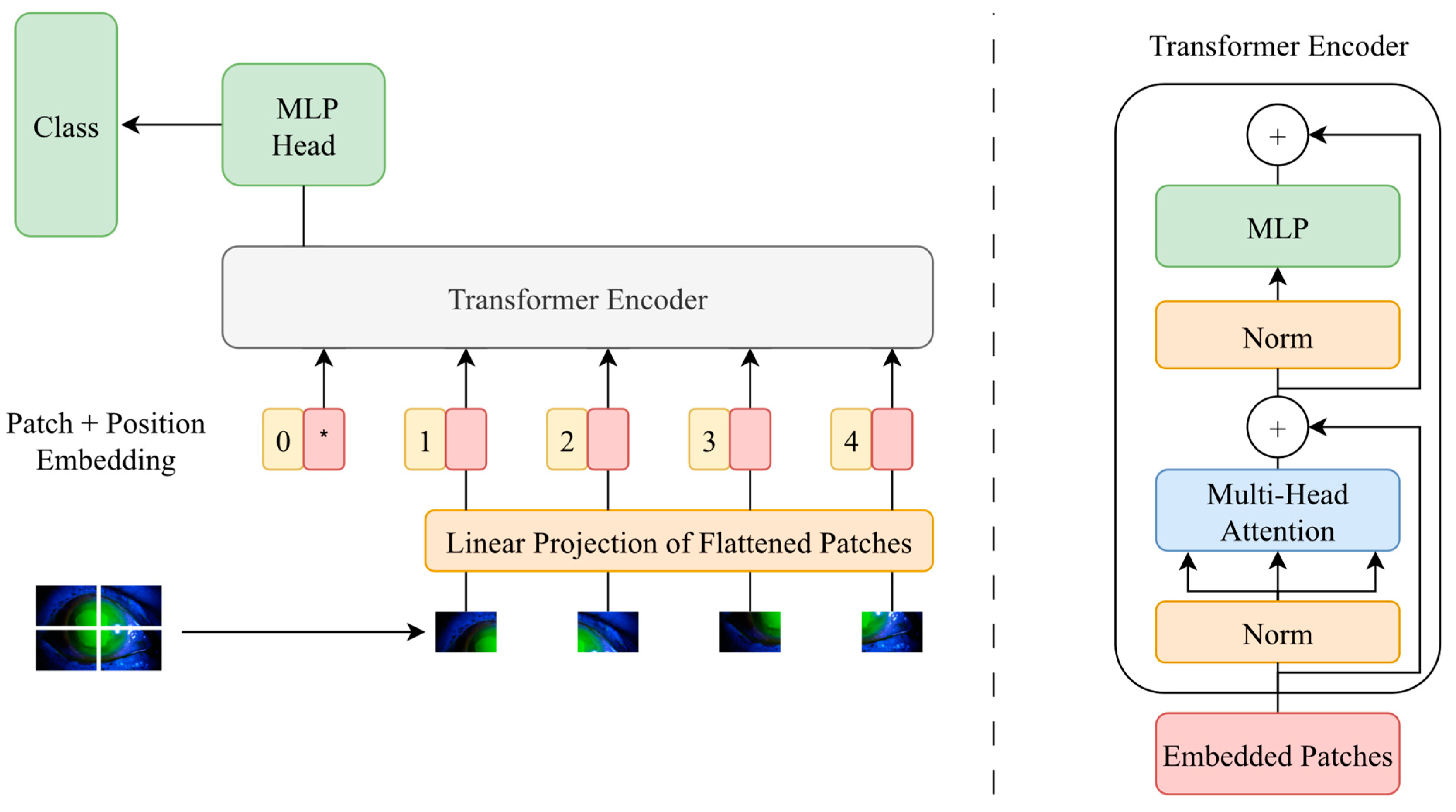 Diagnostics 14 00786 g006