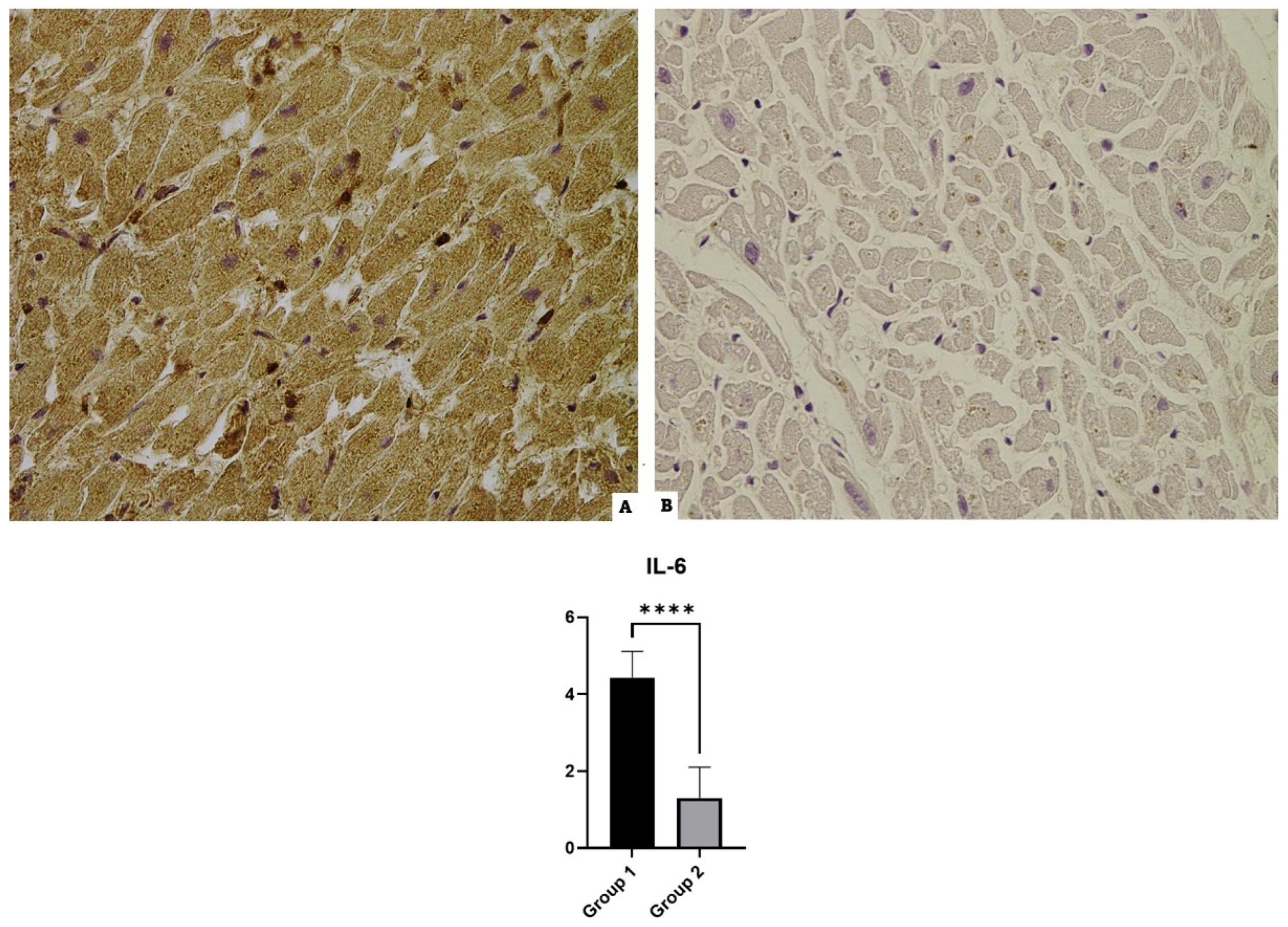 Diagnostics 14 00787 g003
