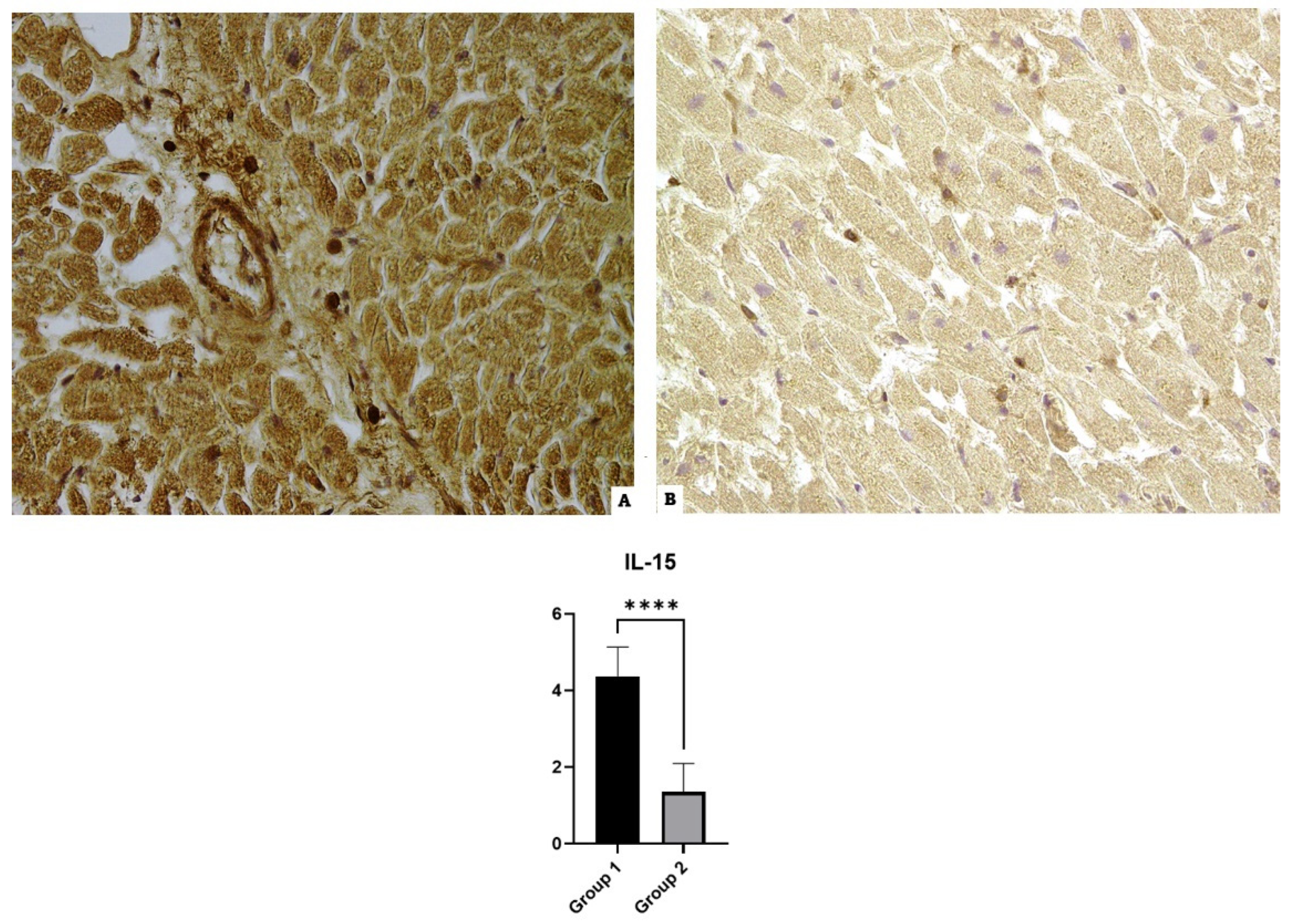Diagnostics 14 00787 g004