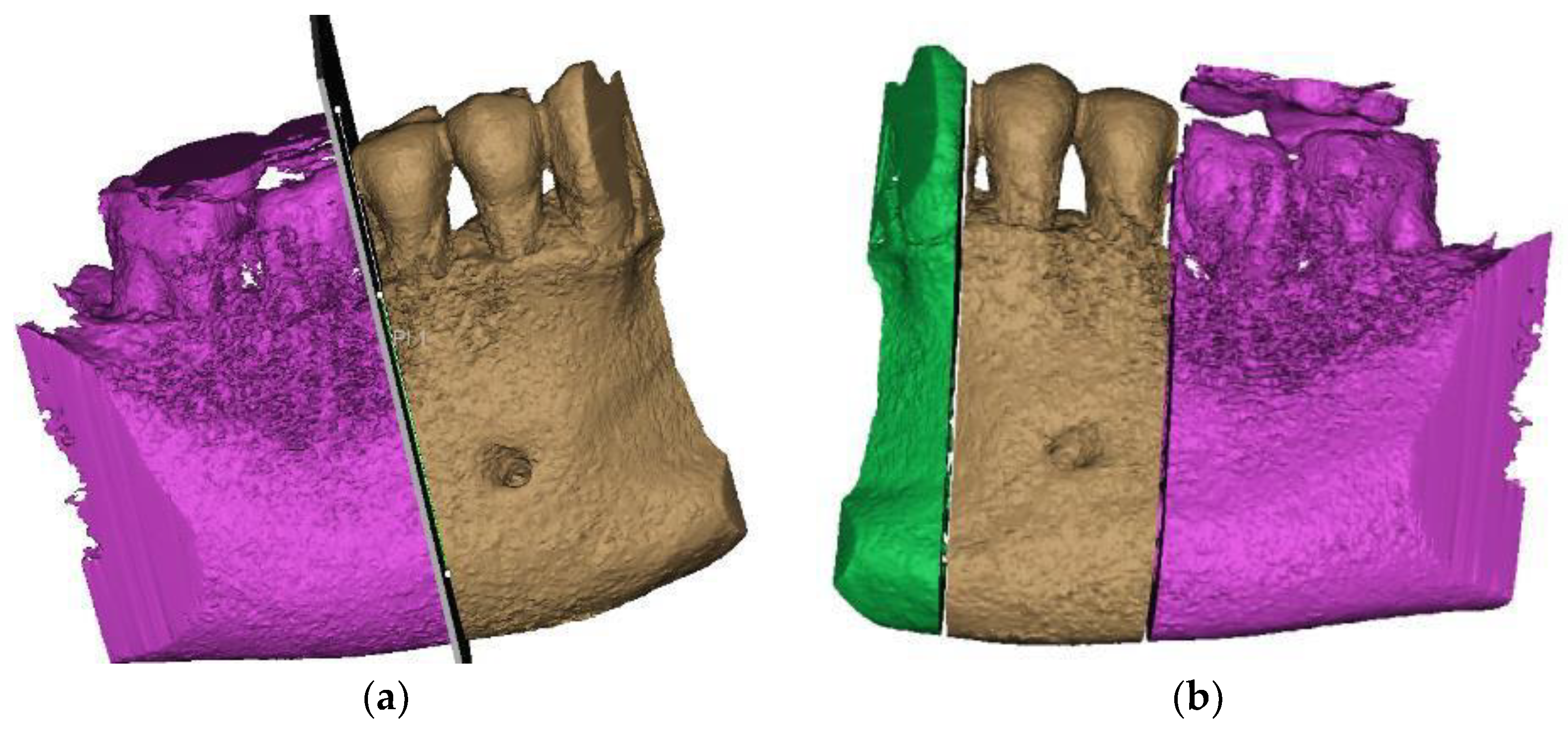 Diagnostics 14 00788 g003