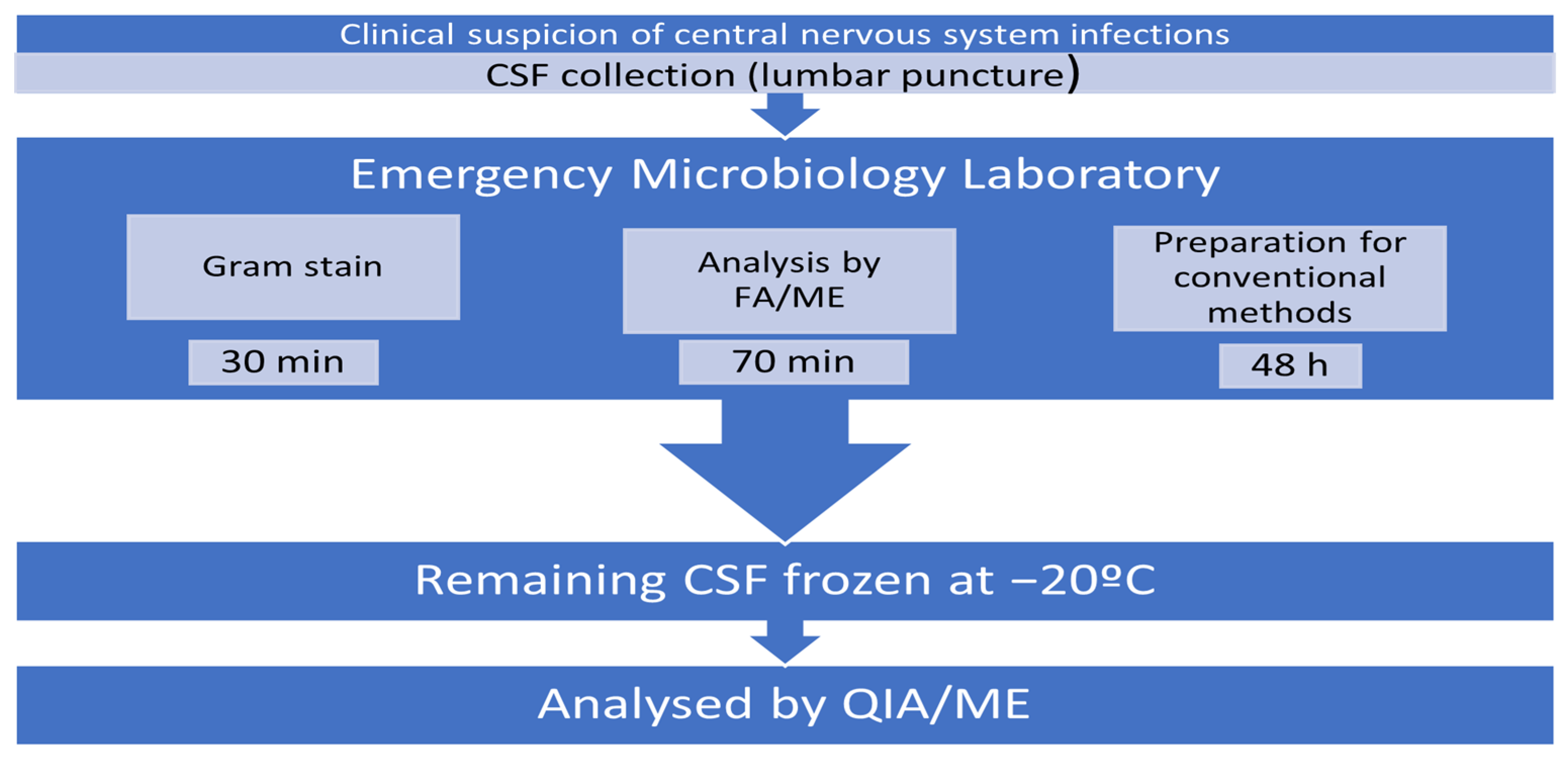 Diagnostics 14 00802 g001