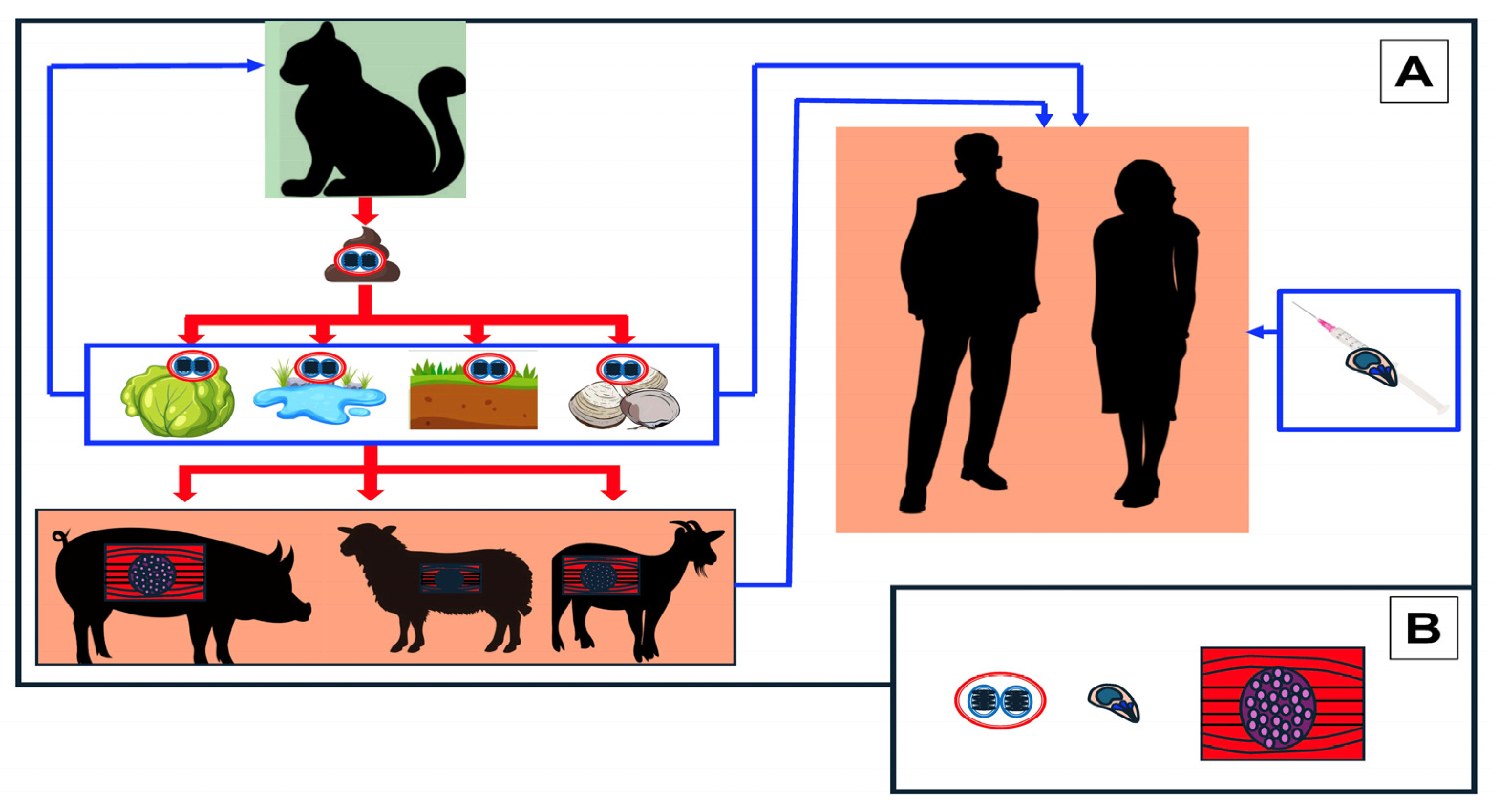 Diagnostics 14 00809 g001
