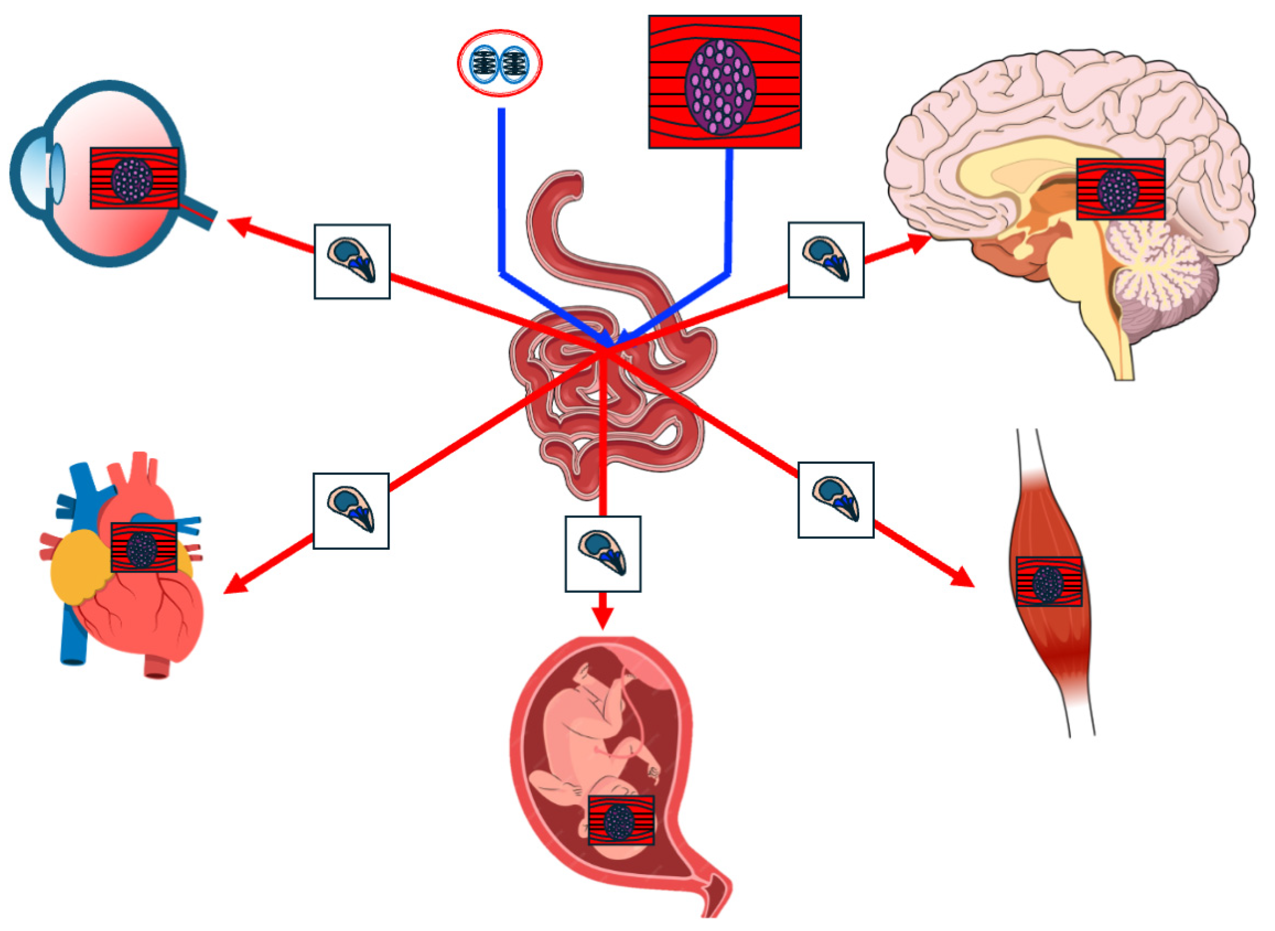 Diagnostics 14 00809 g002
