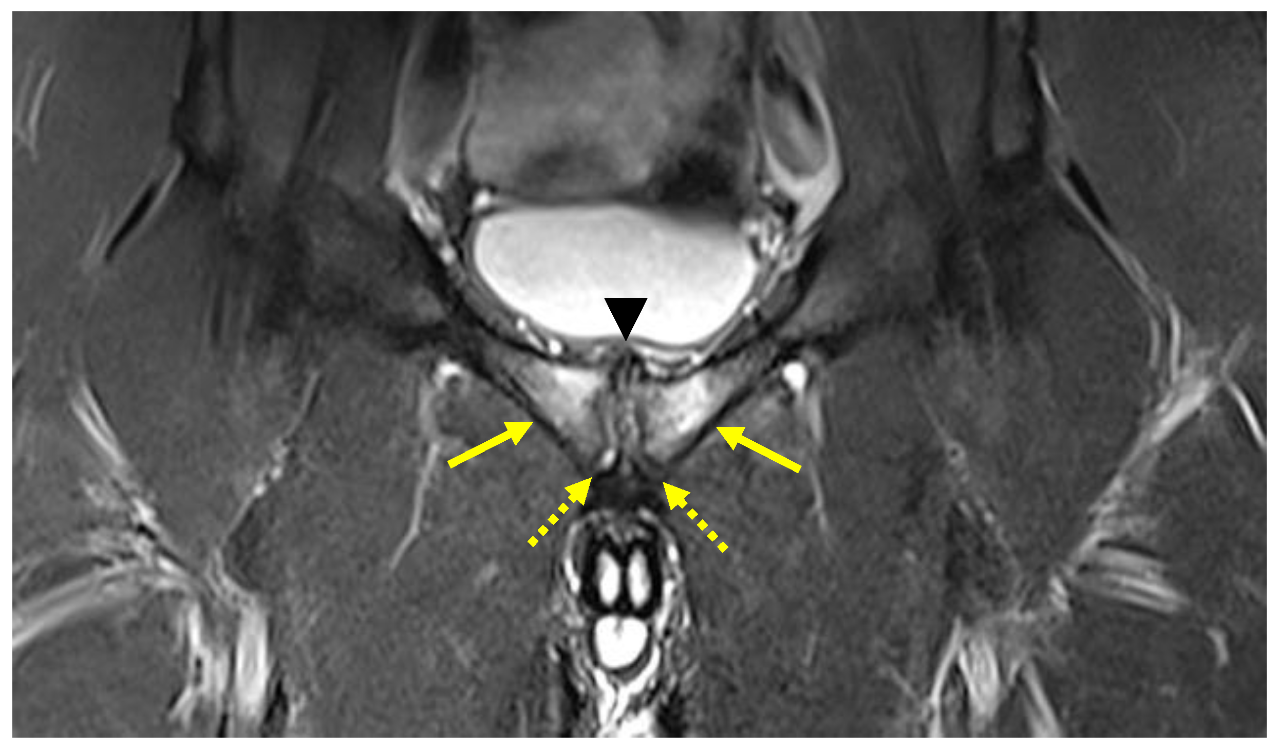 Diagnostics 14 00814 g008